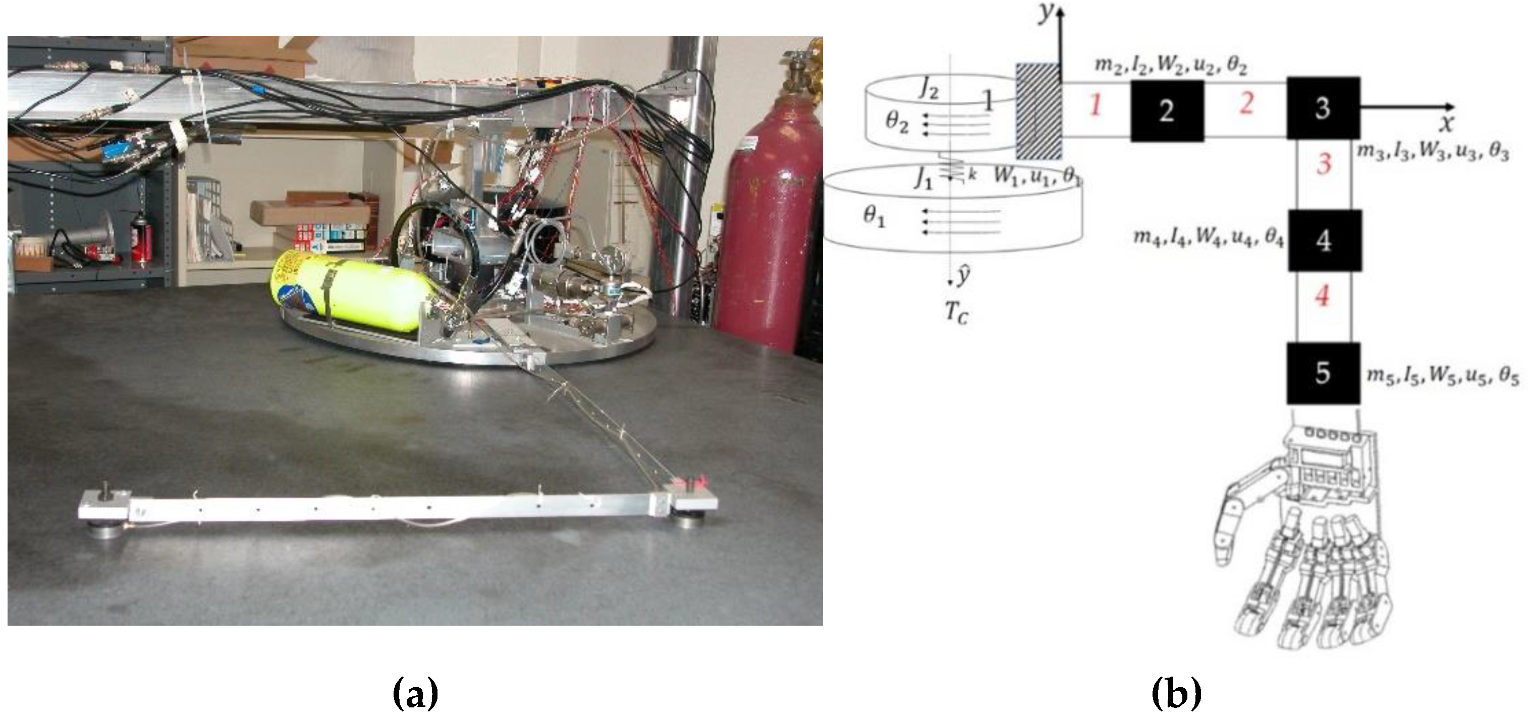 Preprints 142886 g005