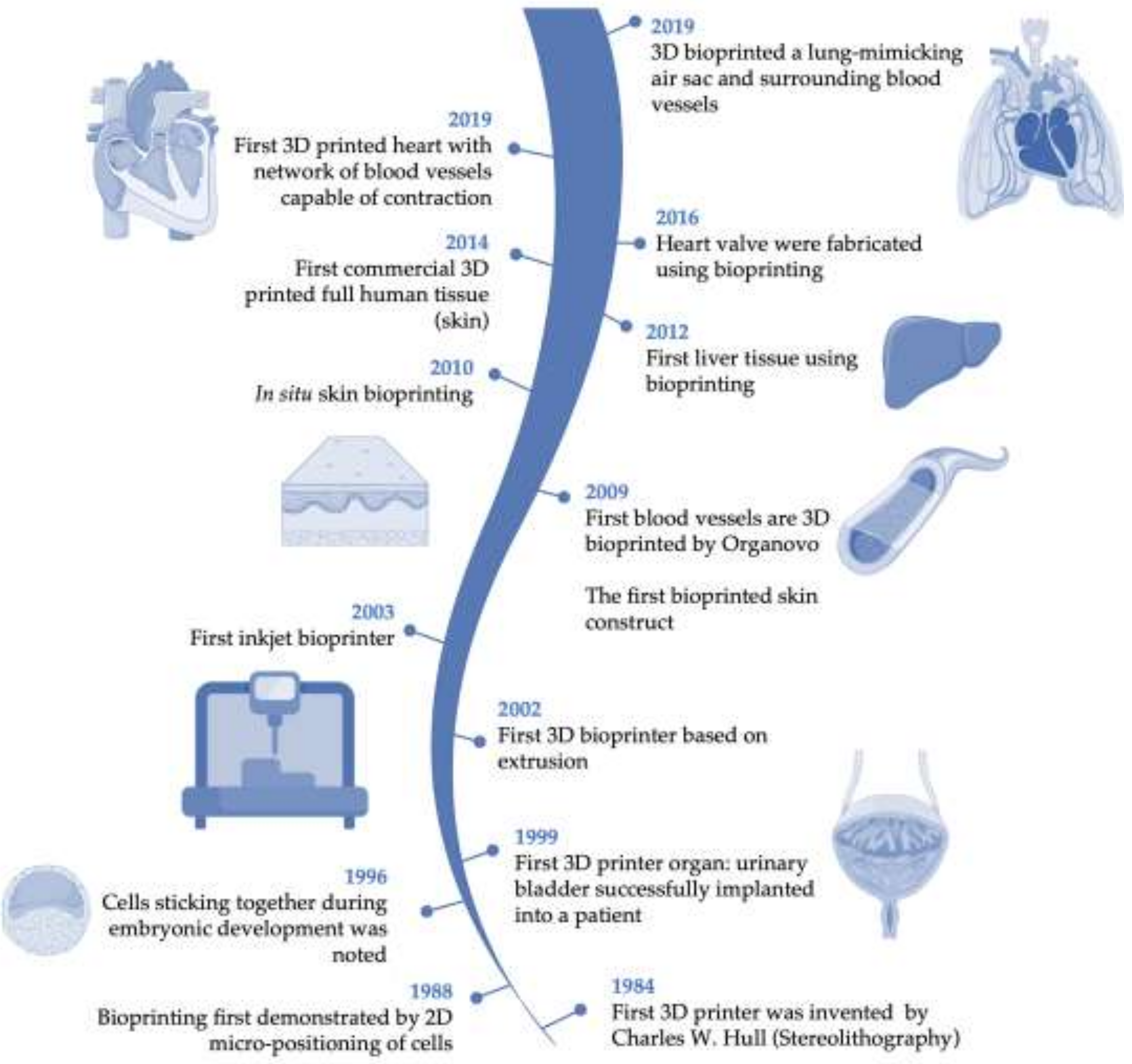 Preprints 140991 g002