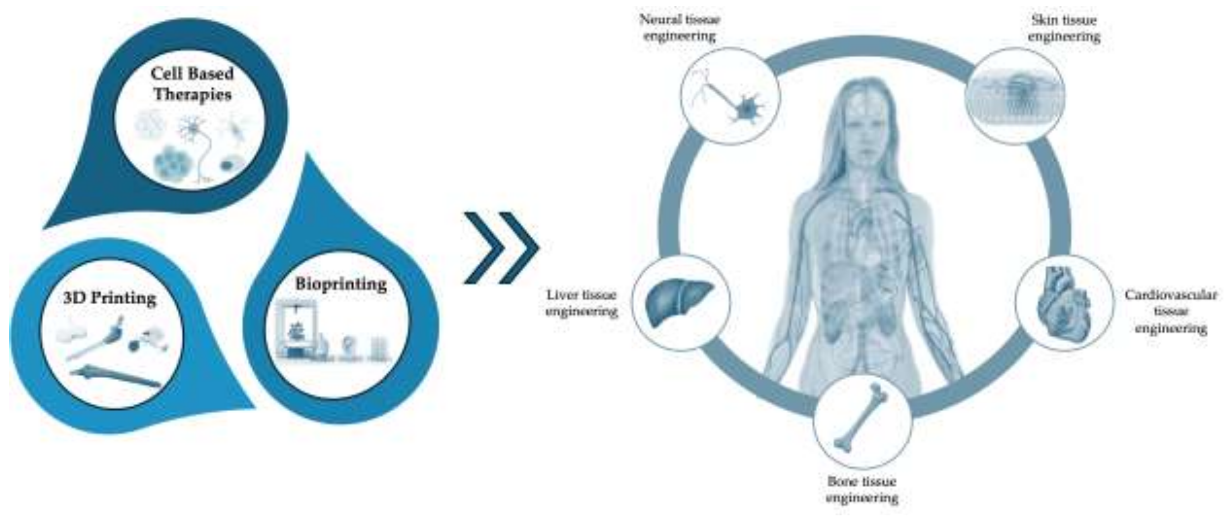 Preprints 140991 g003
