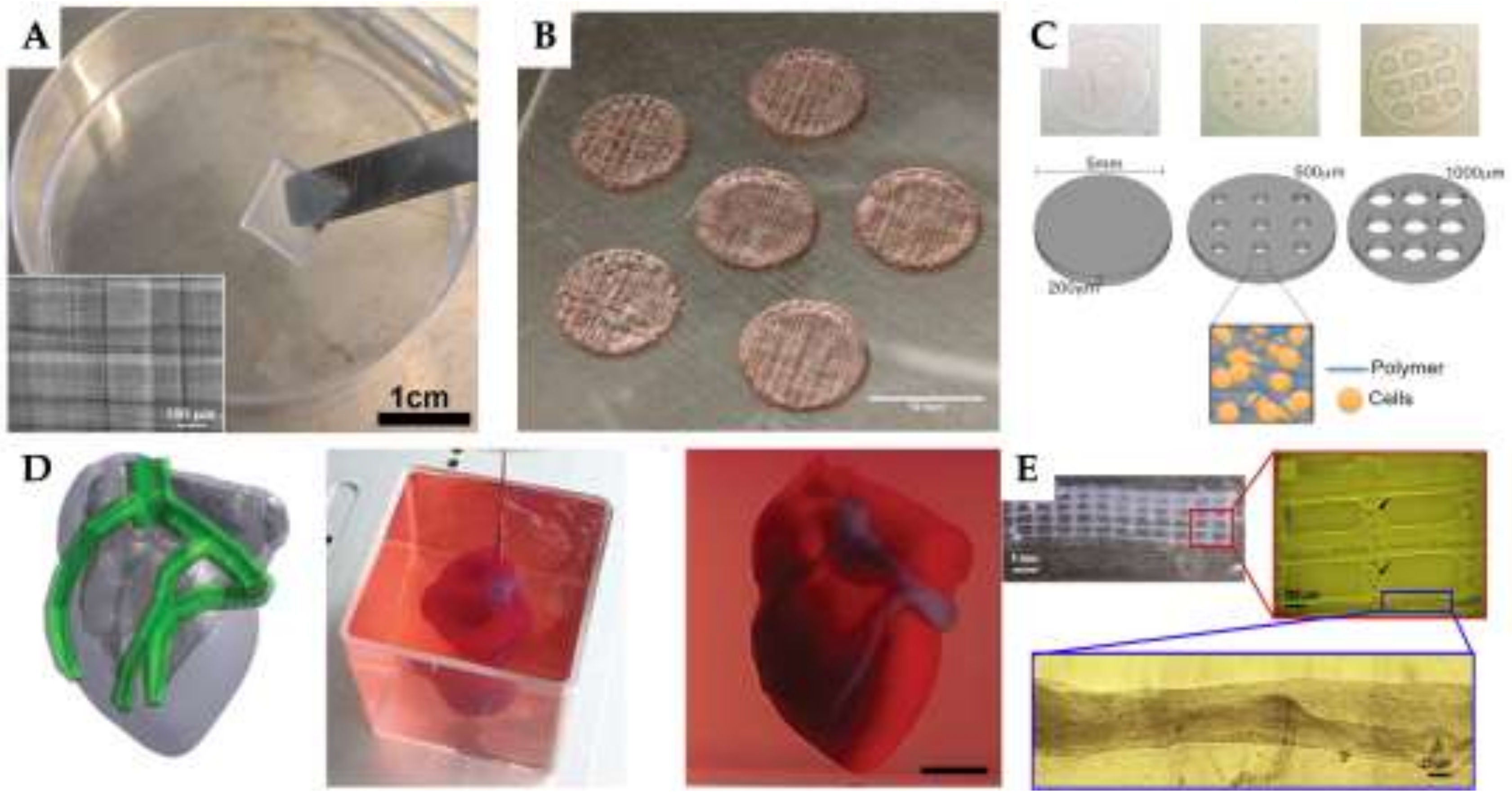 Preprints 140991 g004