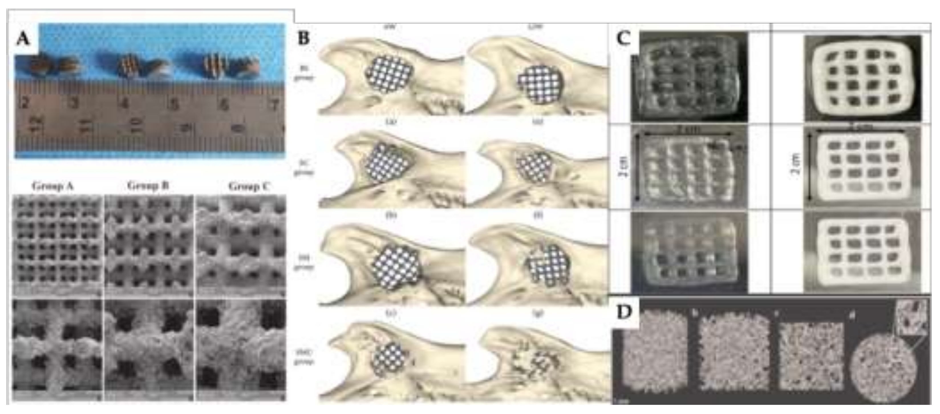 Preprints 140991 g005