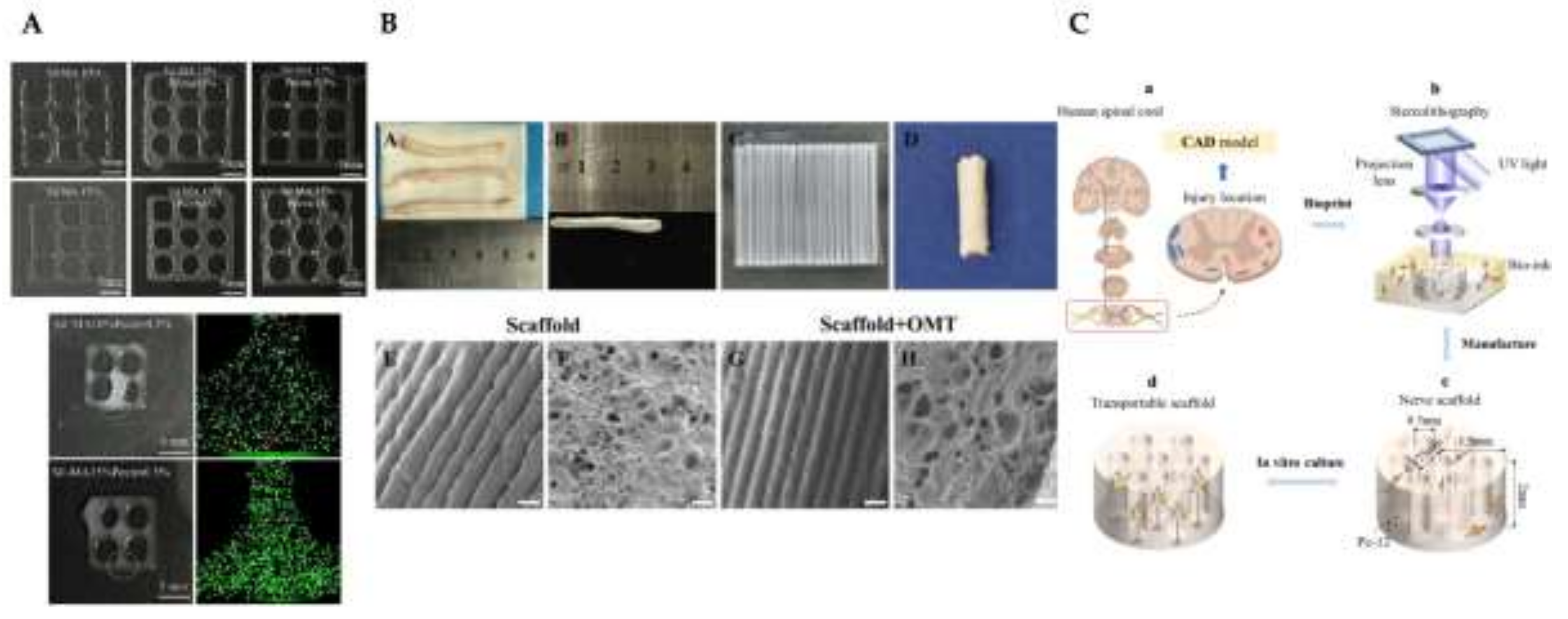 Preprints 140991 g008