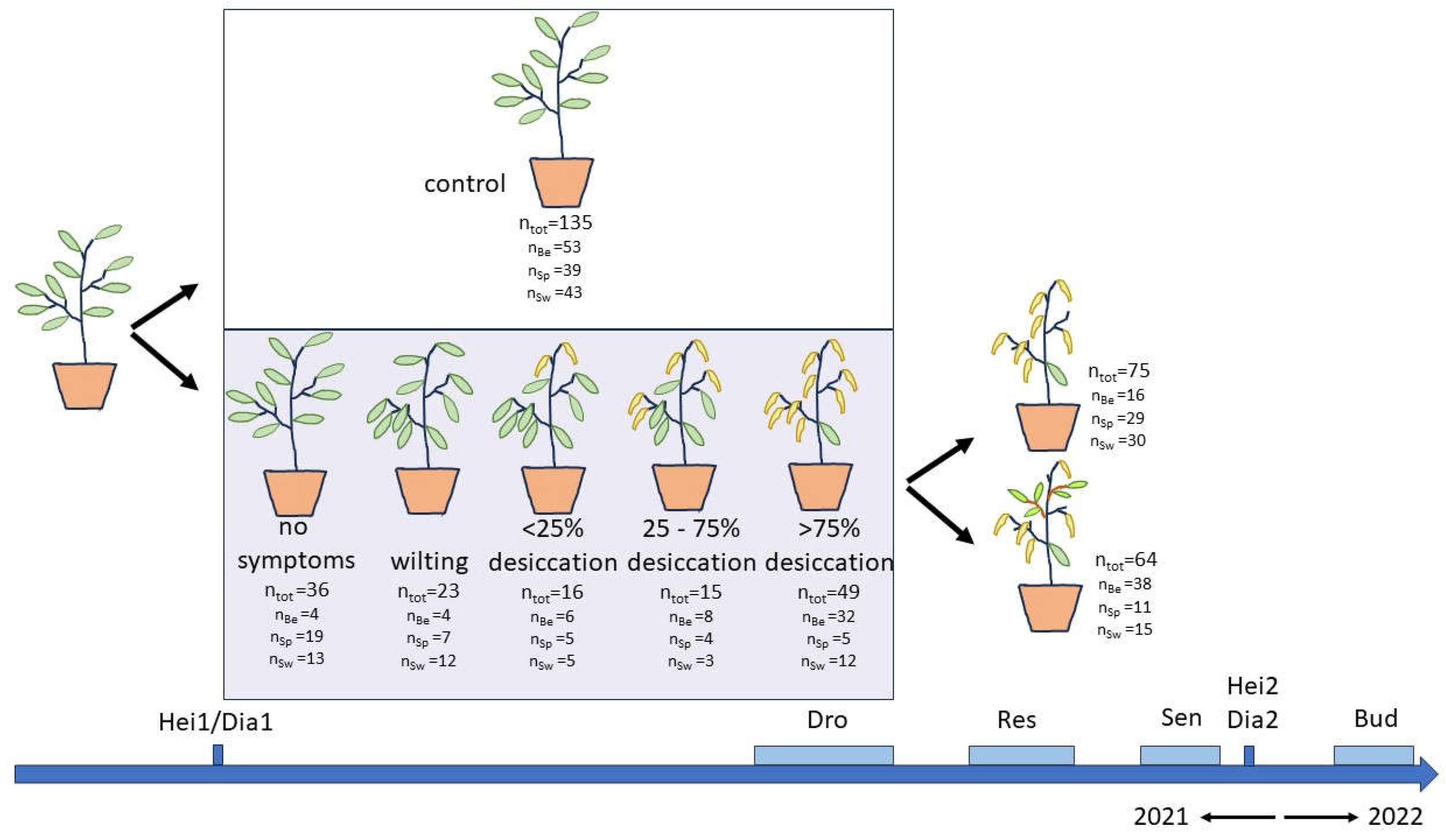 Preprints 149803 g008