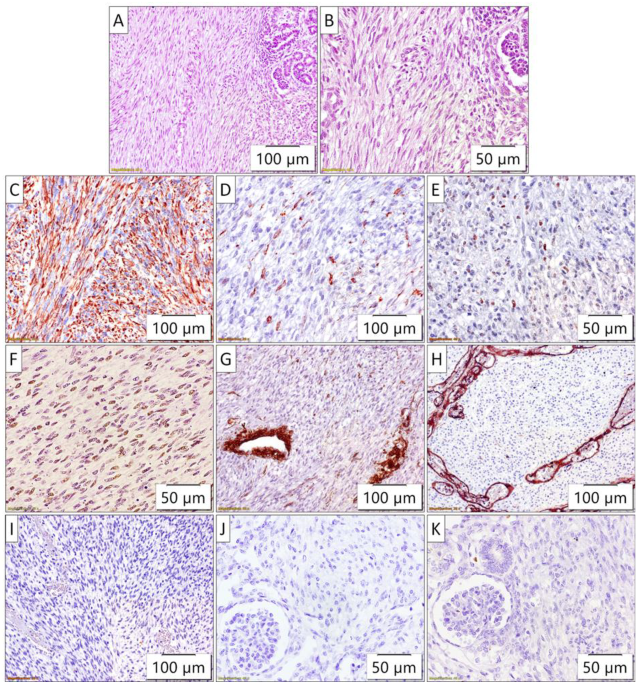 Preprints 142346 g003