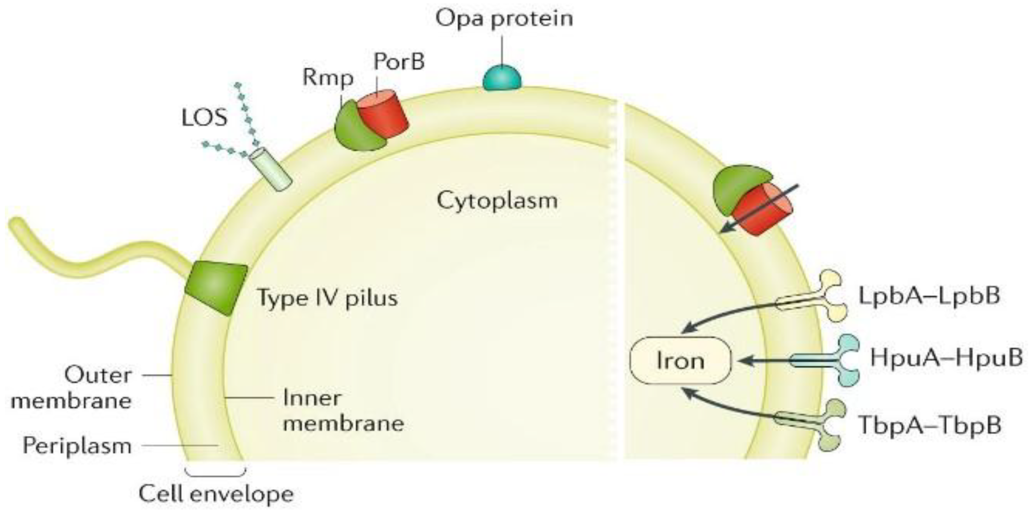 Preprints 177316 g002