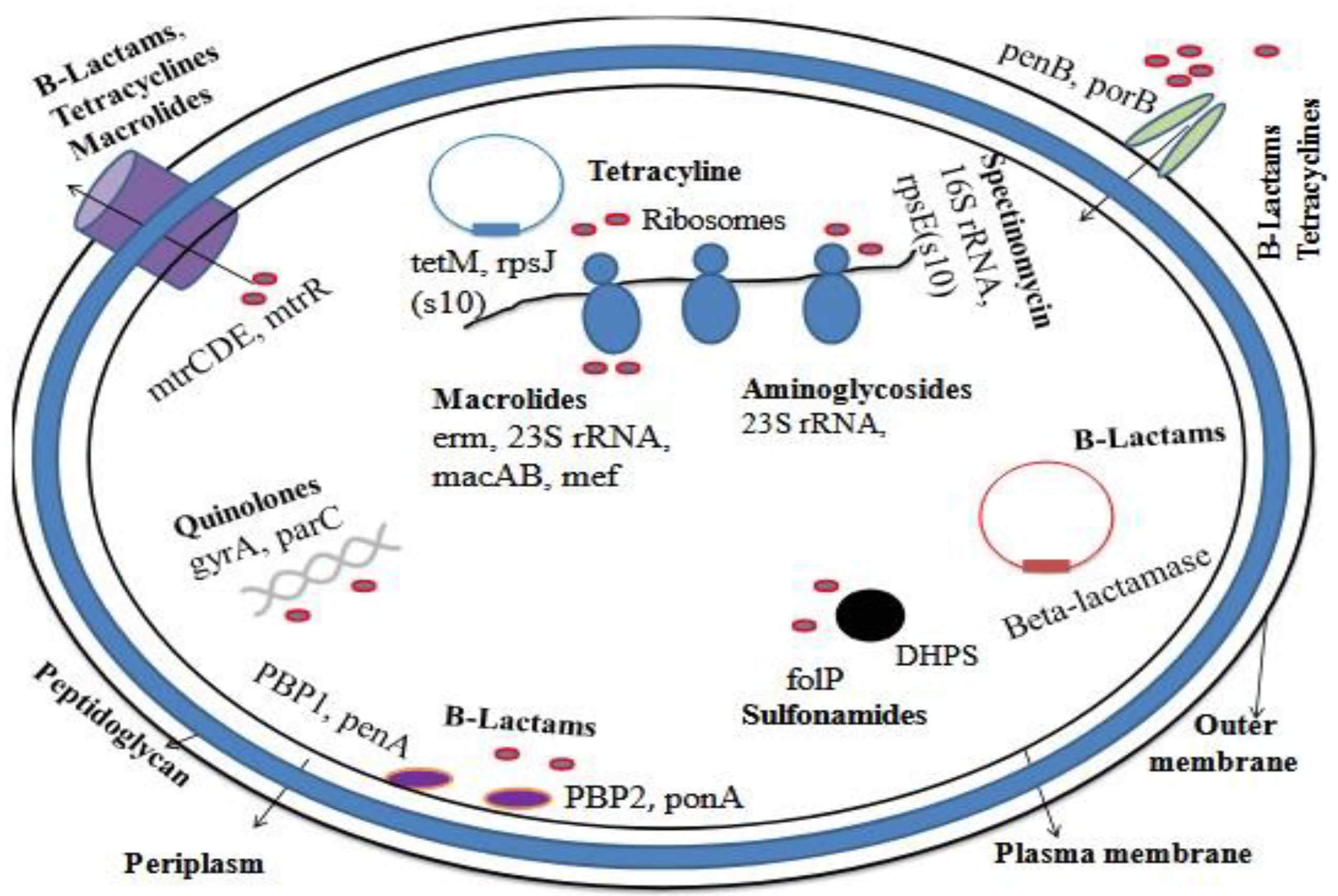 Preprints 177316 g003