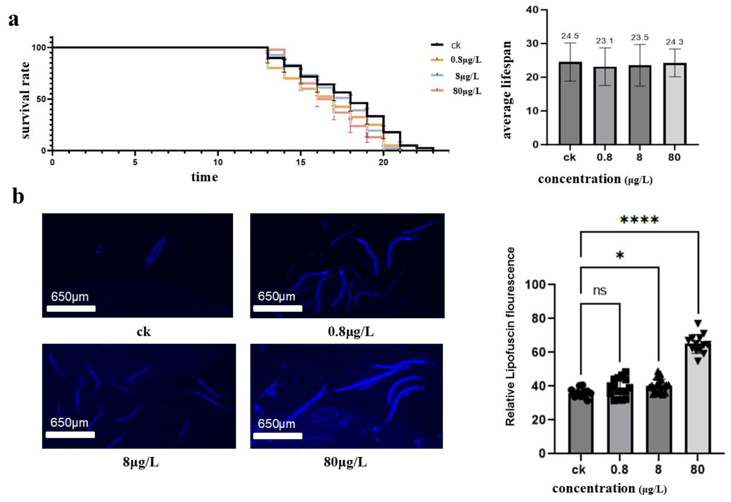 Preprints 152121 g002