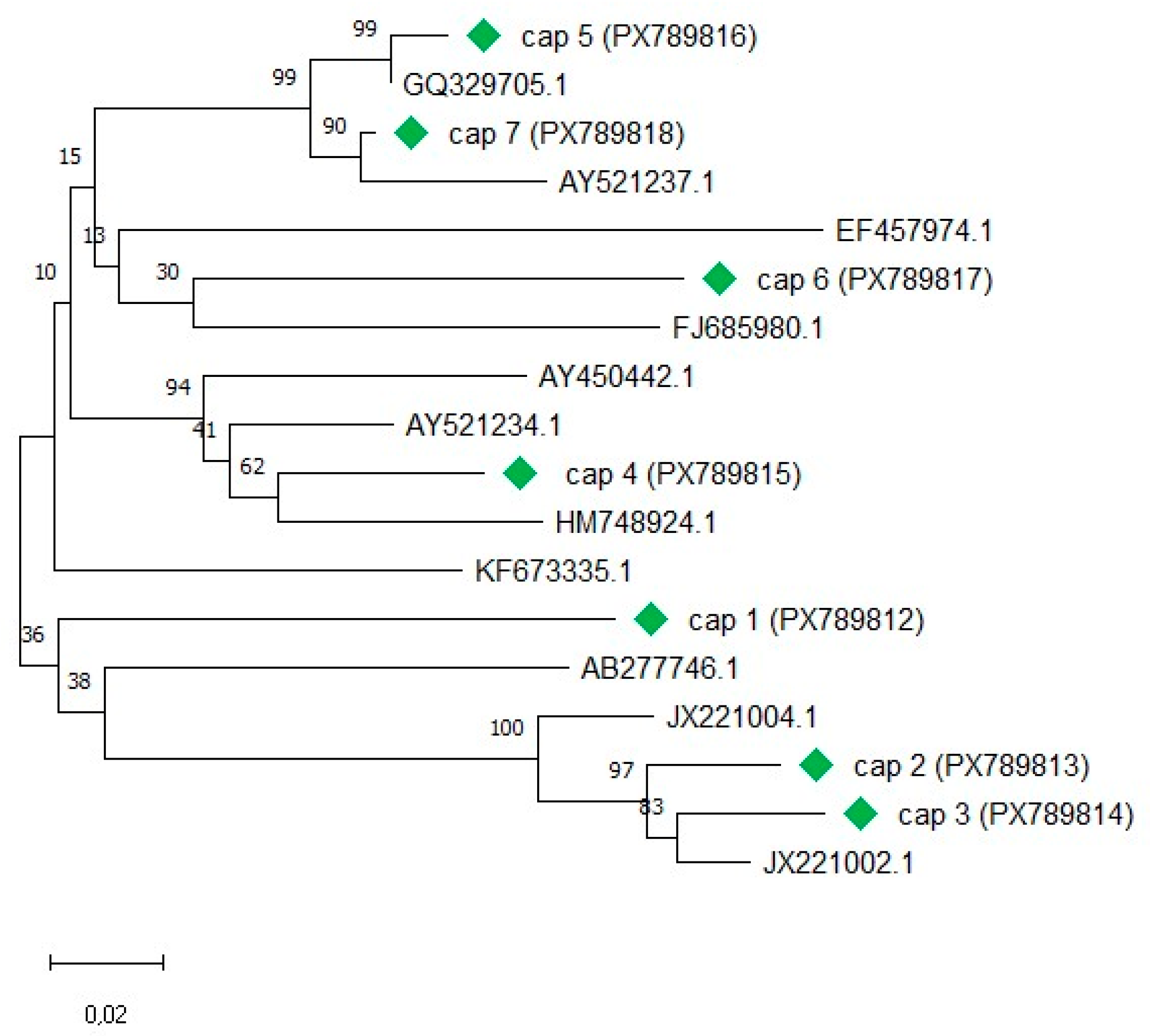 Preprints 194170 g001