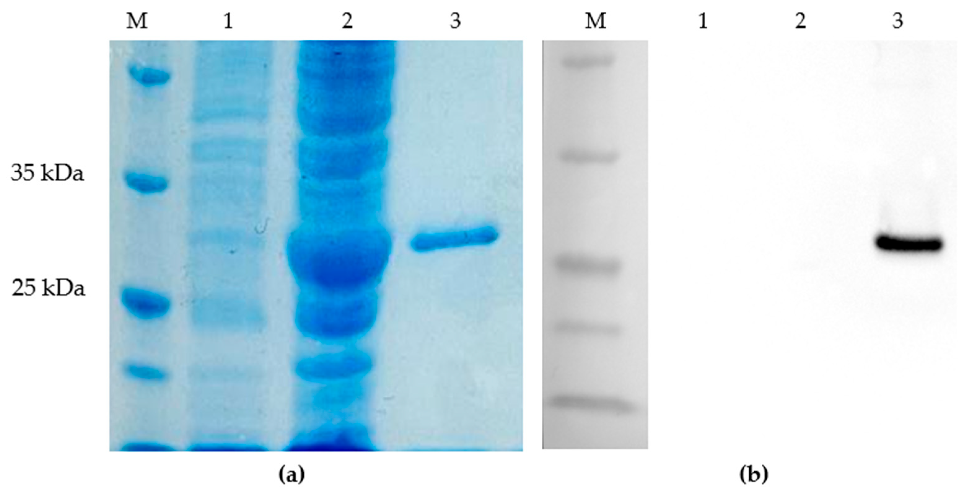 Preprints 194170 g003