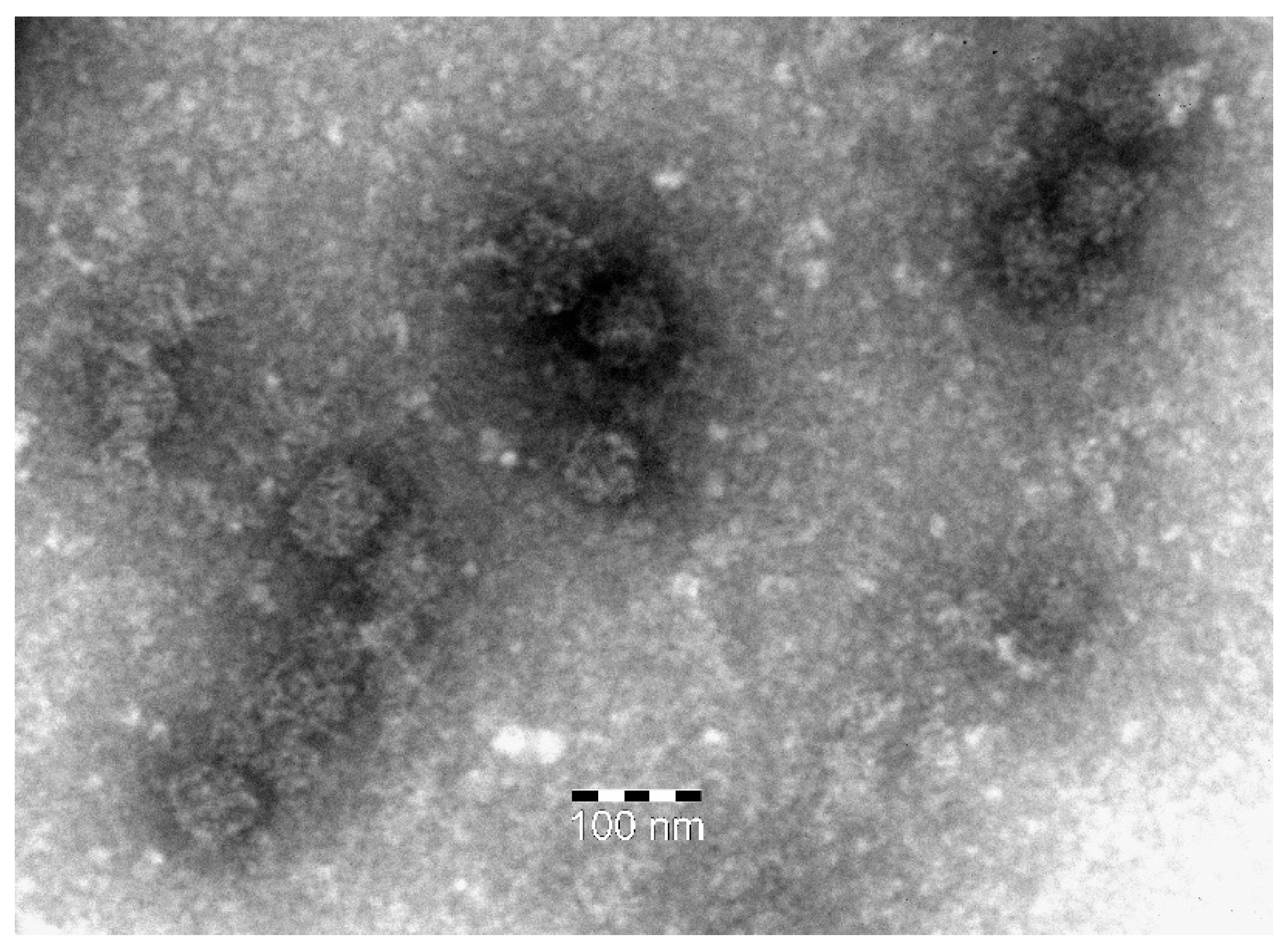 Preprints 194170 g004