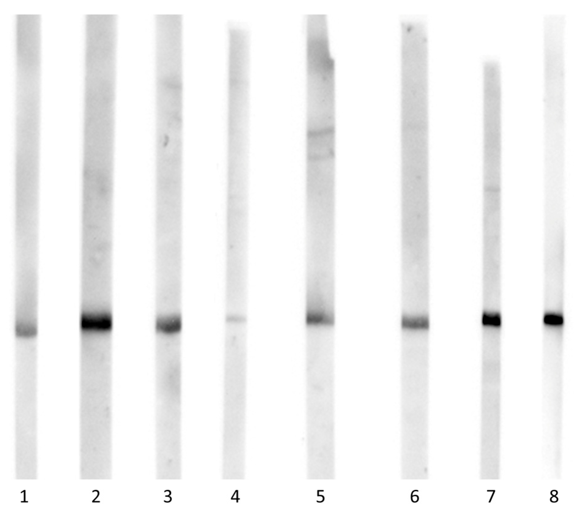 Preprints 194170 g005