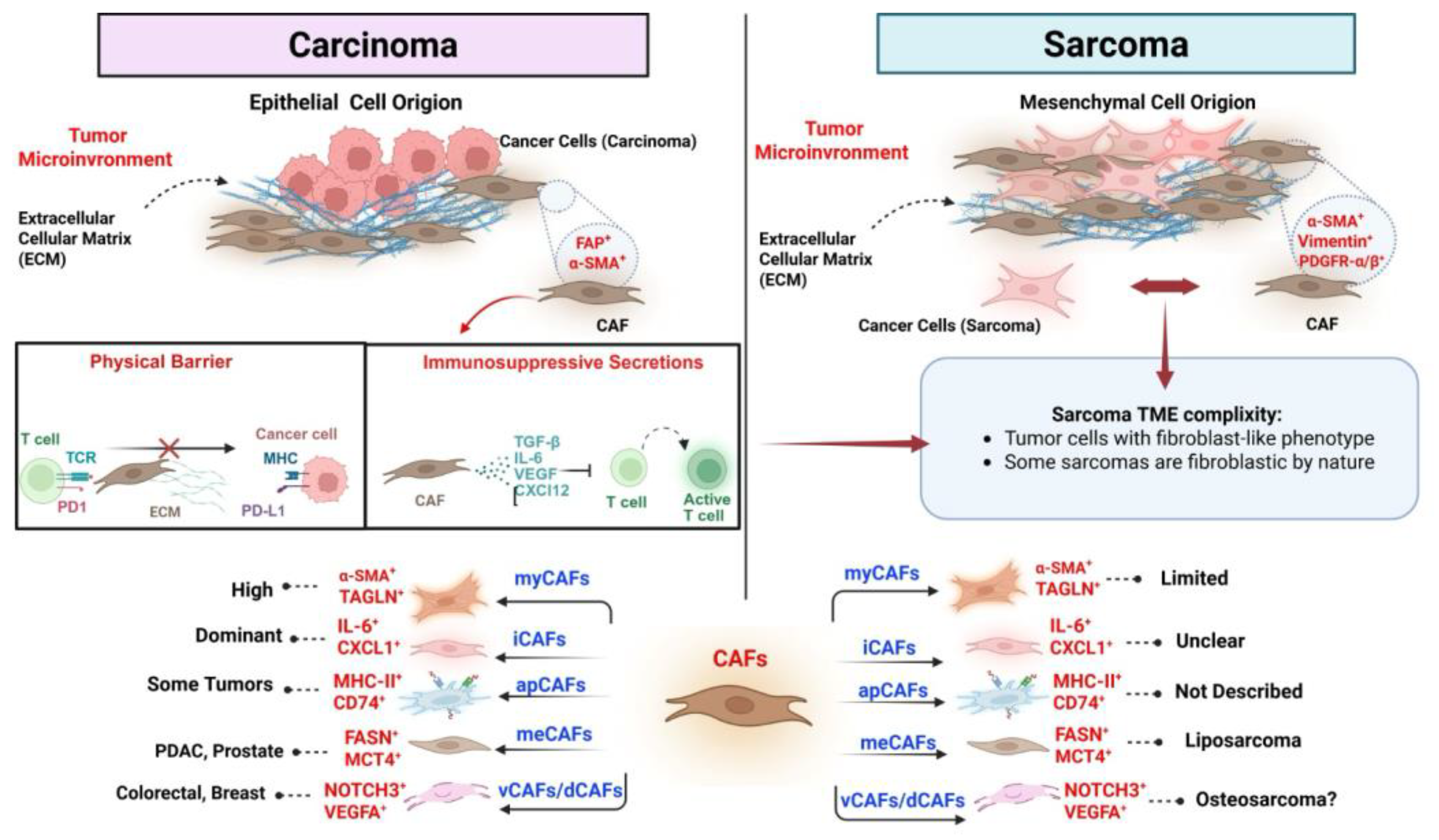 Preprints 171104 g001