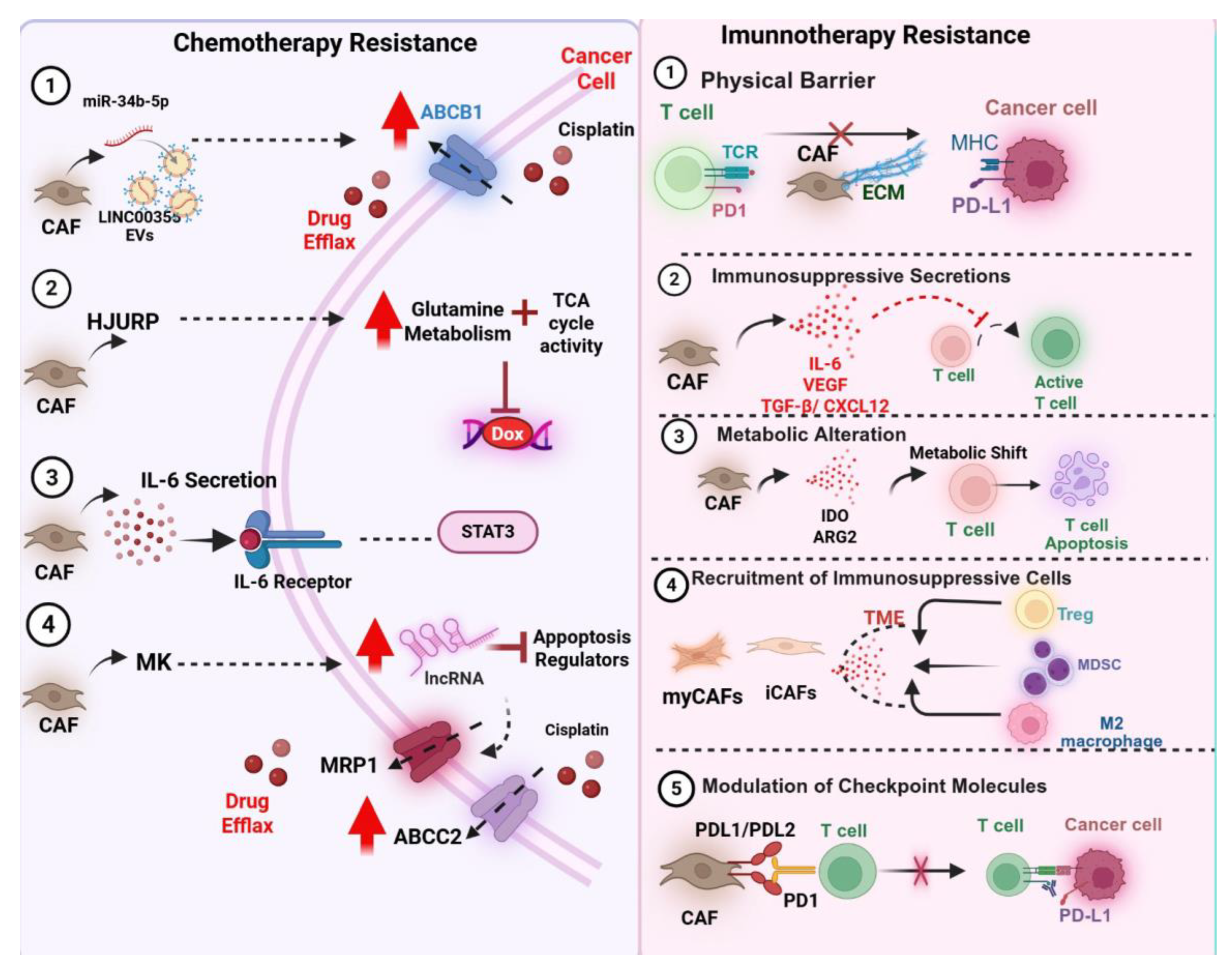 Preprints 171104 g002