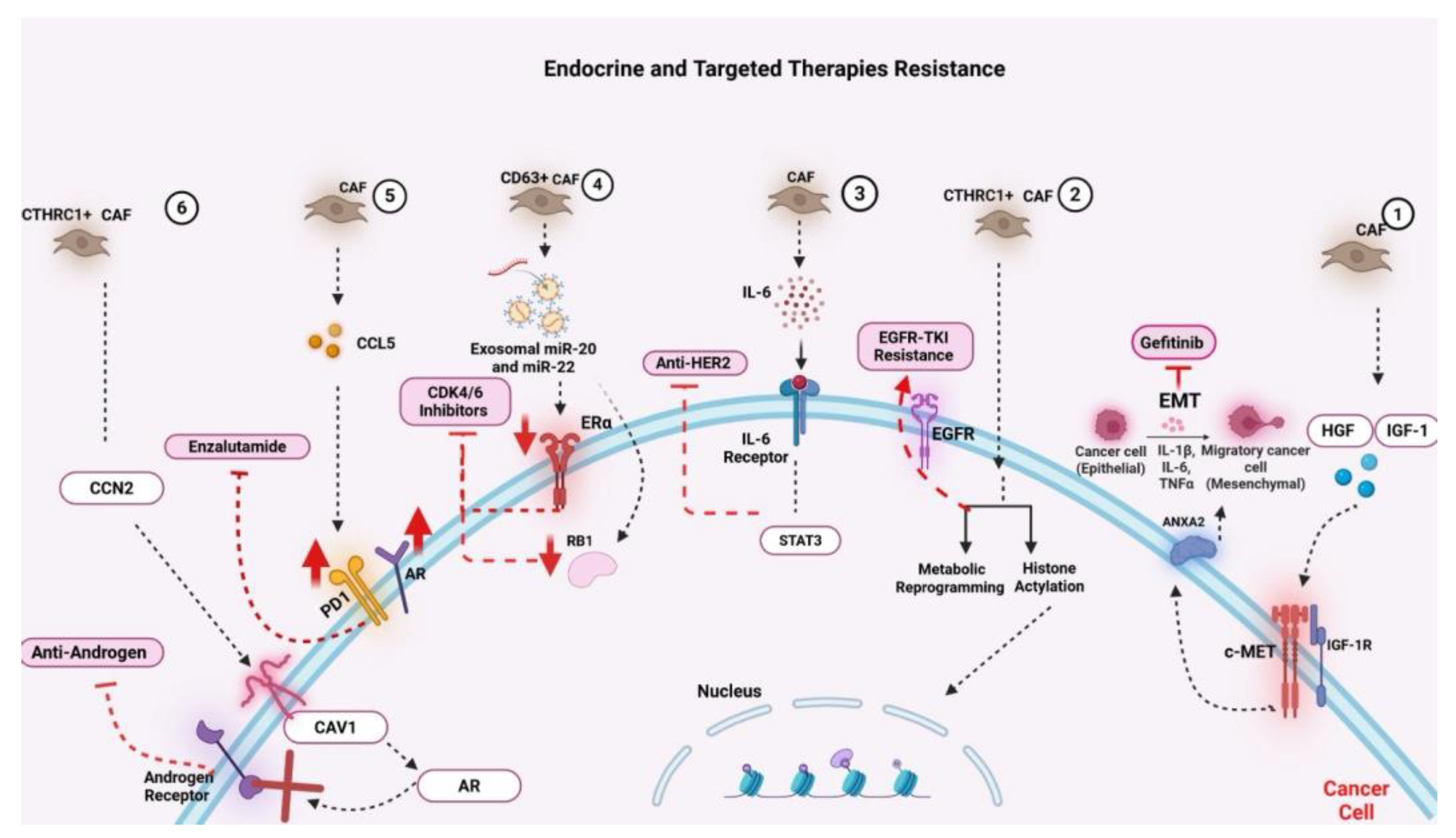 Preprints 171104 g003