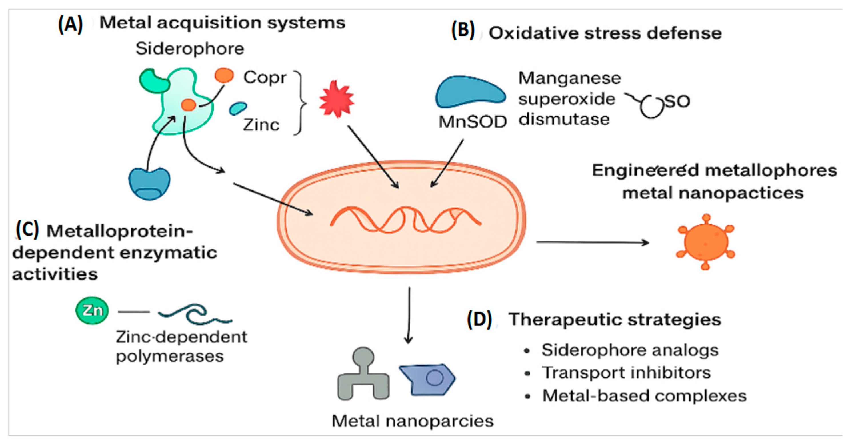Preprints 189926 g001