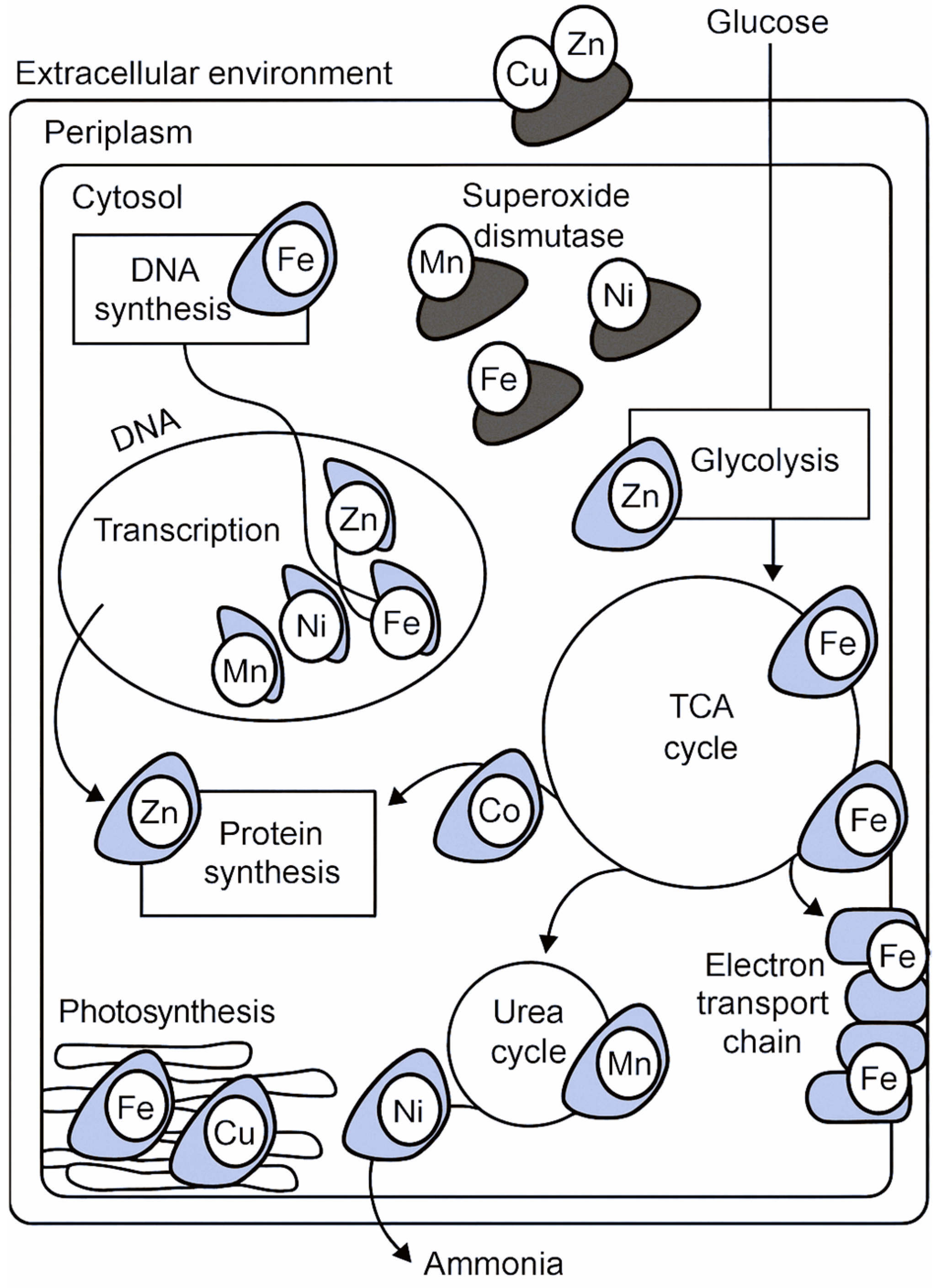 Preprints 189926 g003
