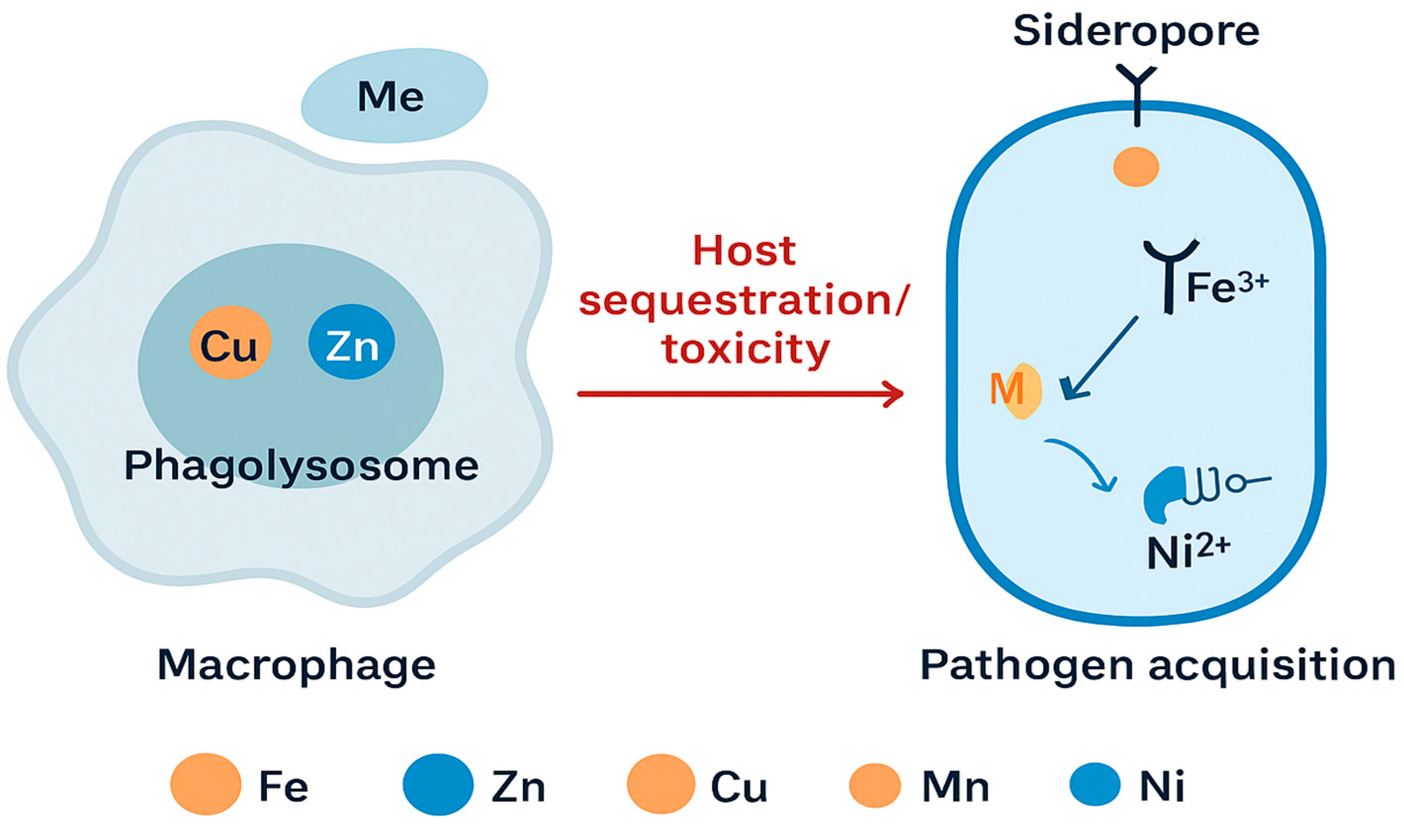 Preprints 189926 g004