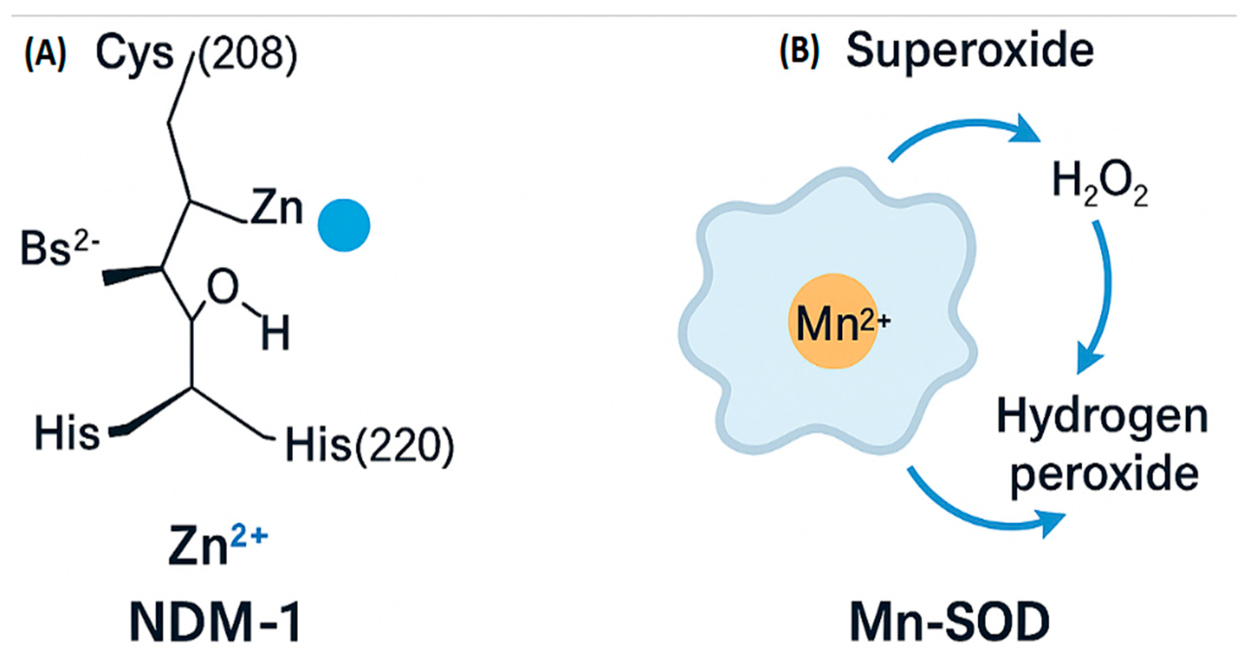 Preprints 189926 g005