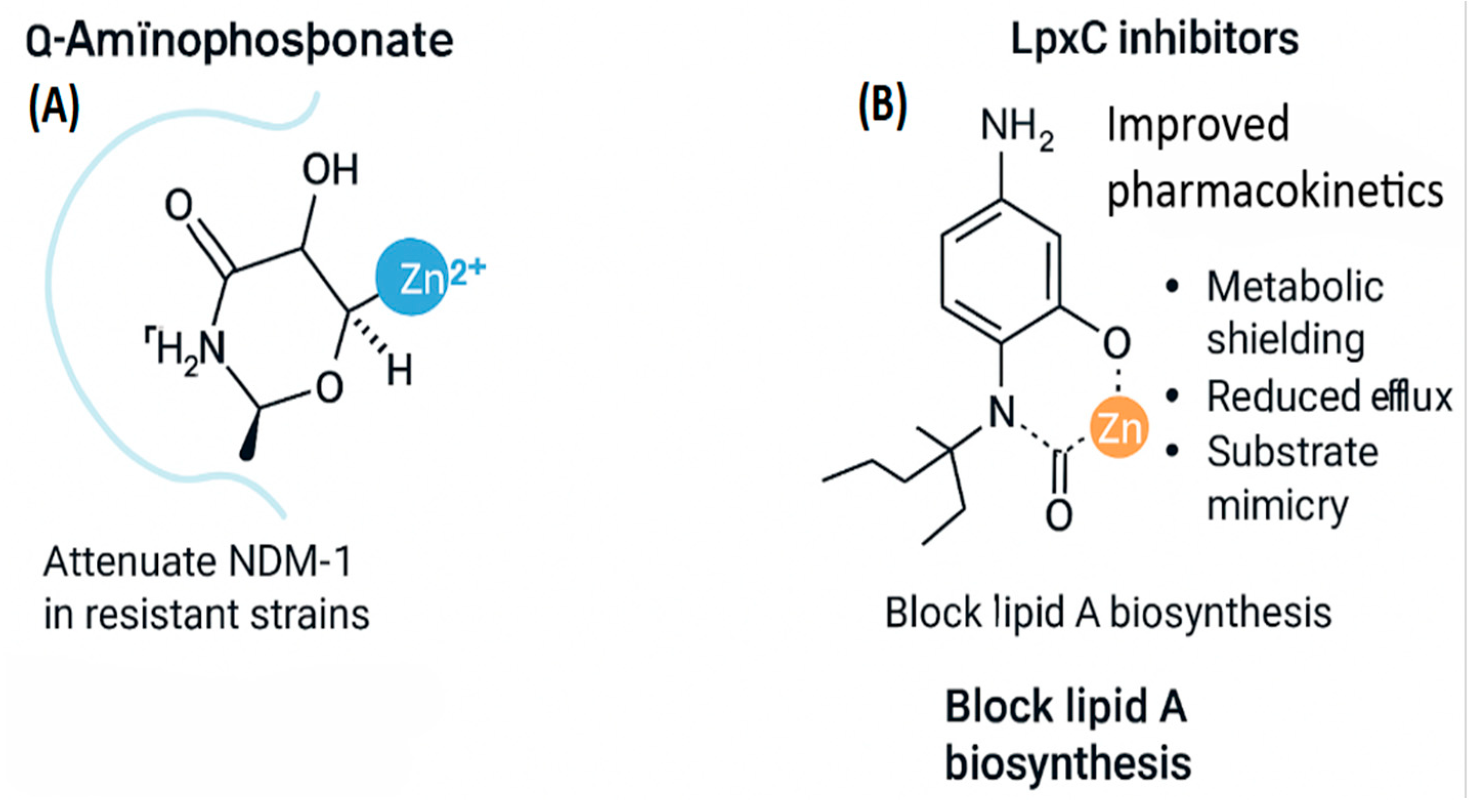 Preprints 189926 g007