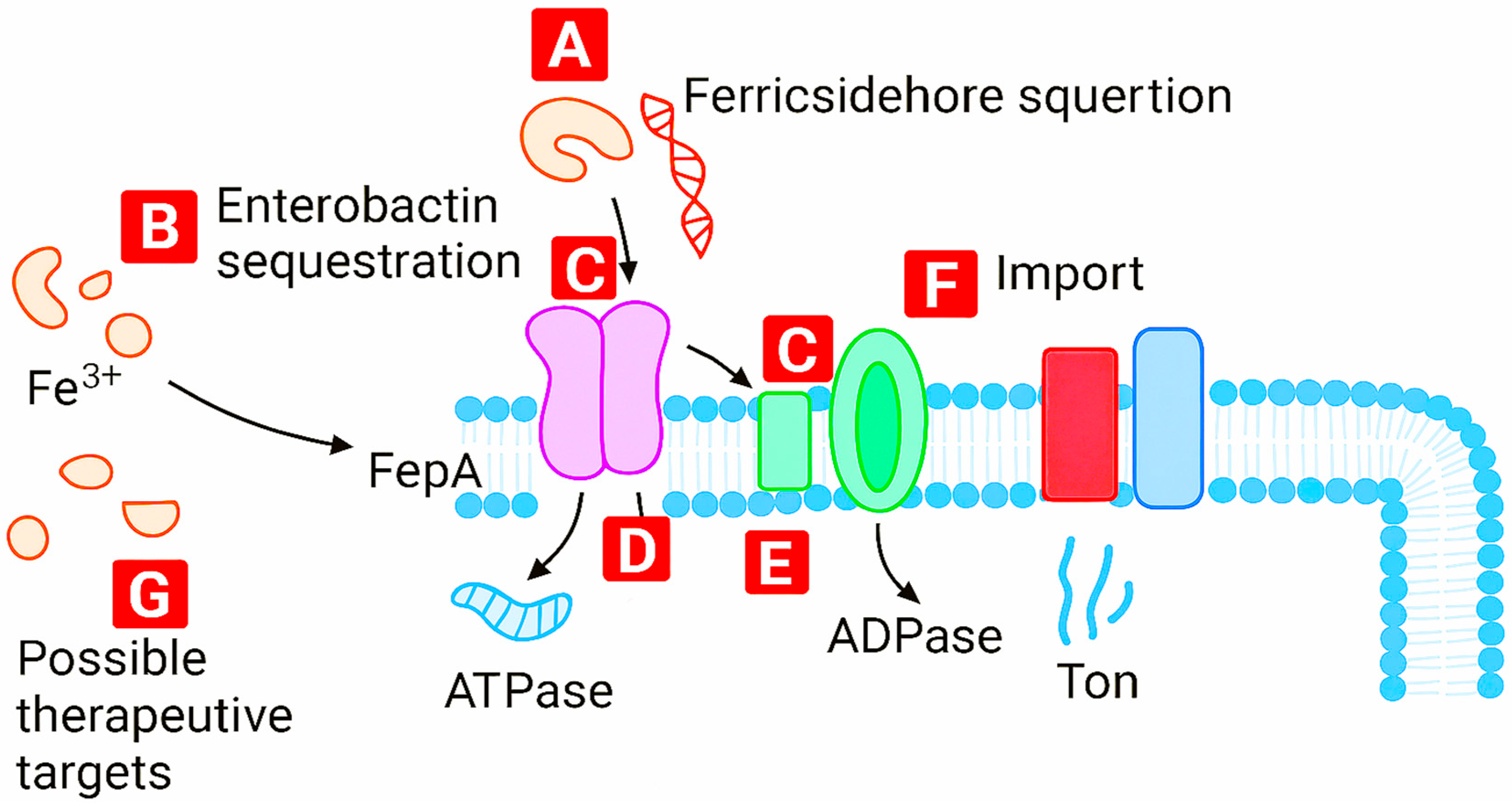 Preprints 189926 g010