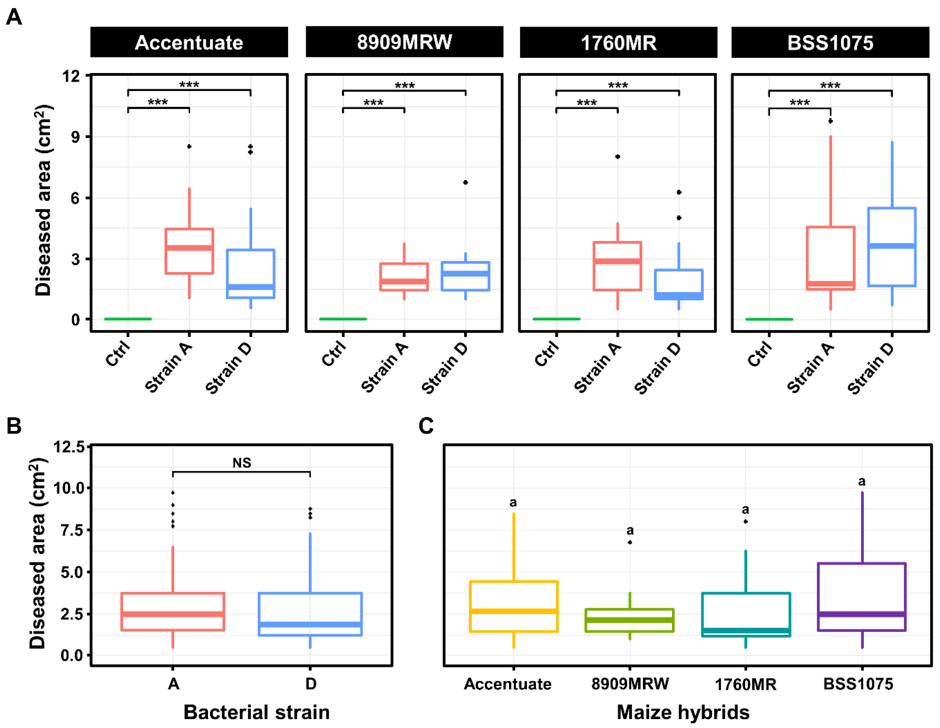 Preprints 199425 g006
