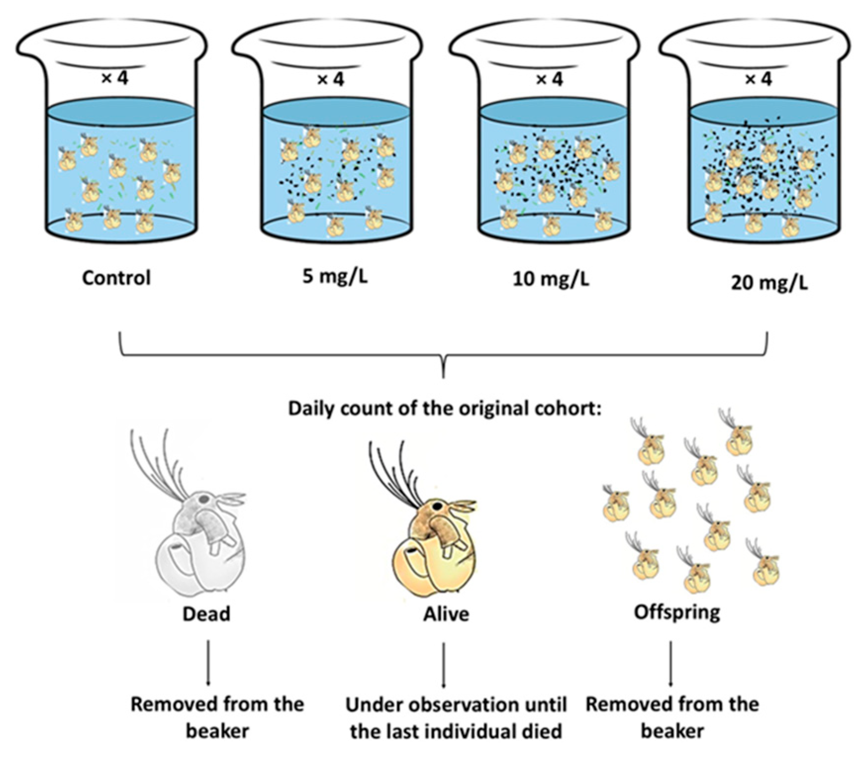Preprints 154632 g001