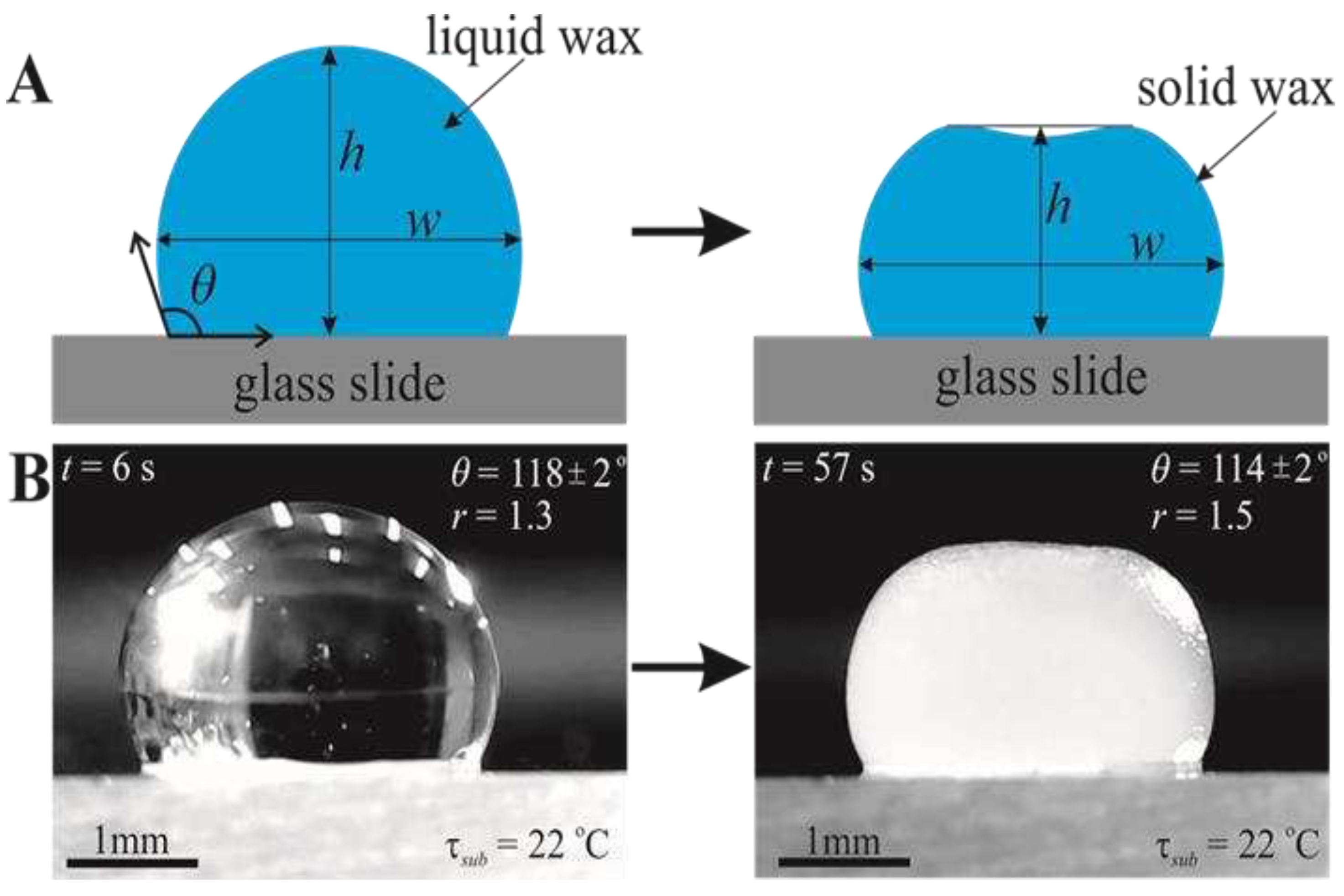 Preprints 79336 g001