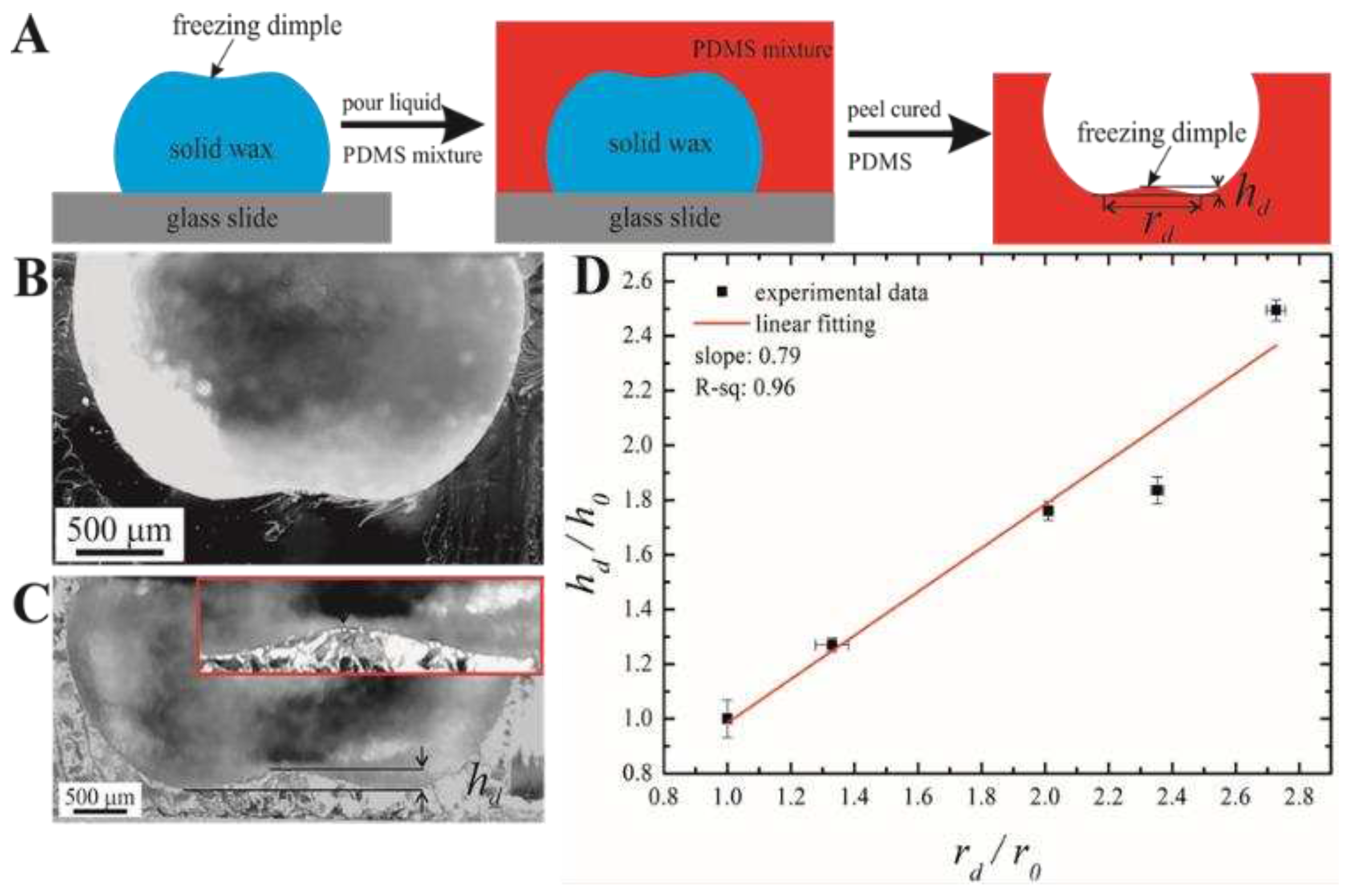 Preprints 79336 g002