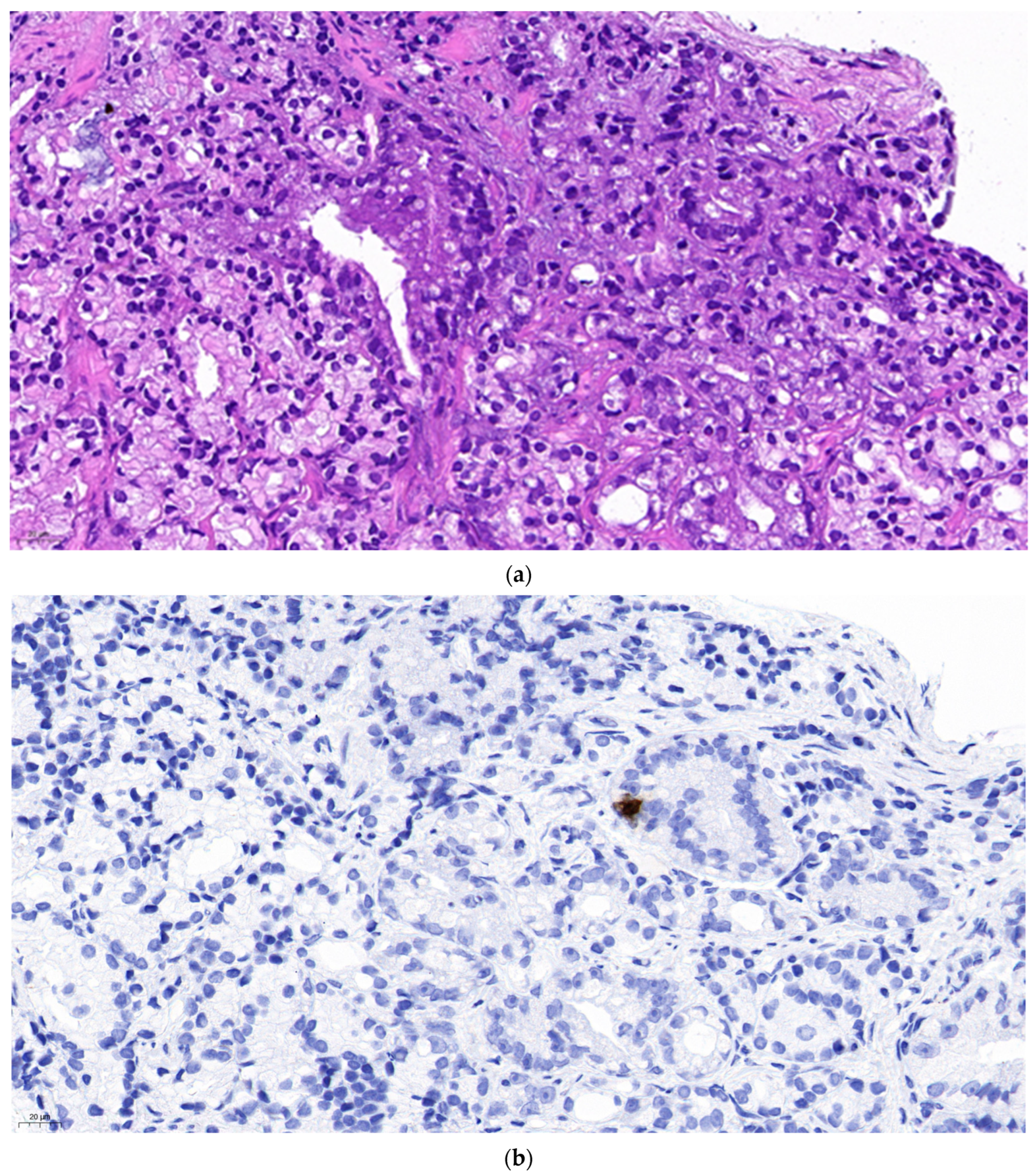 Preprints 84858 g001a