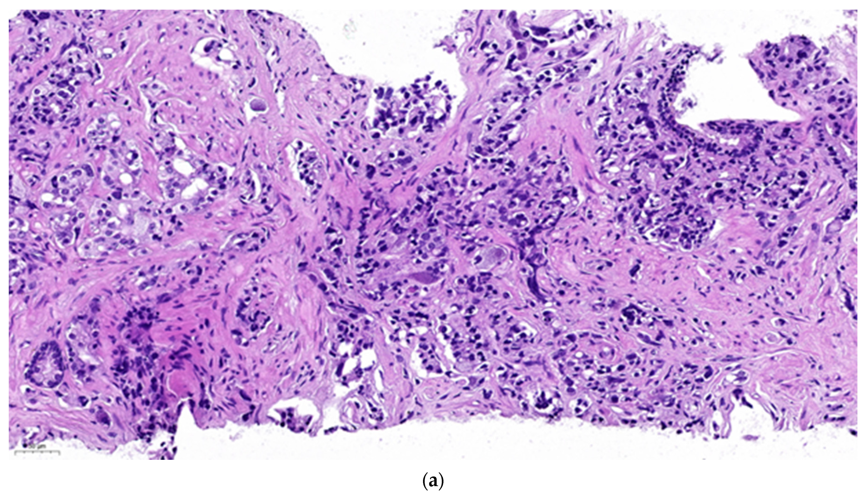 Preprints 84858 g002a