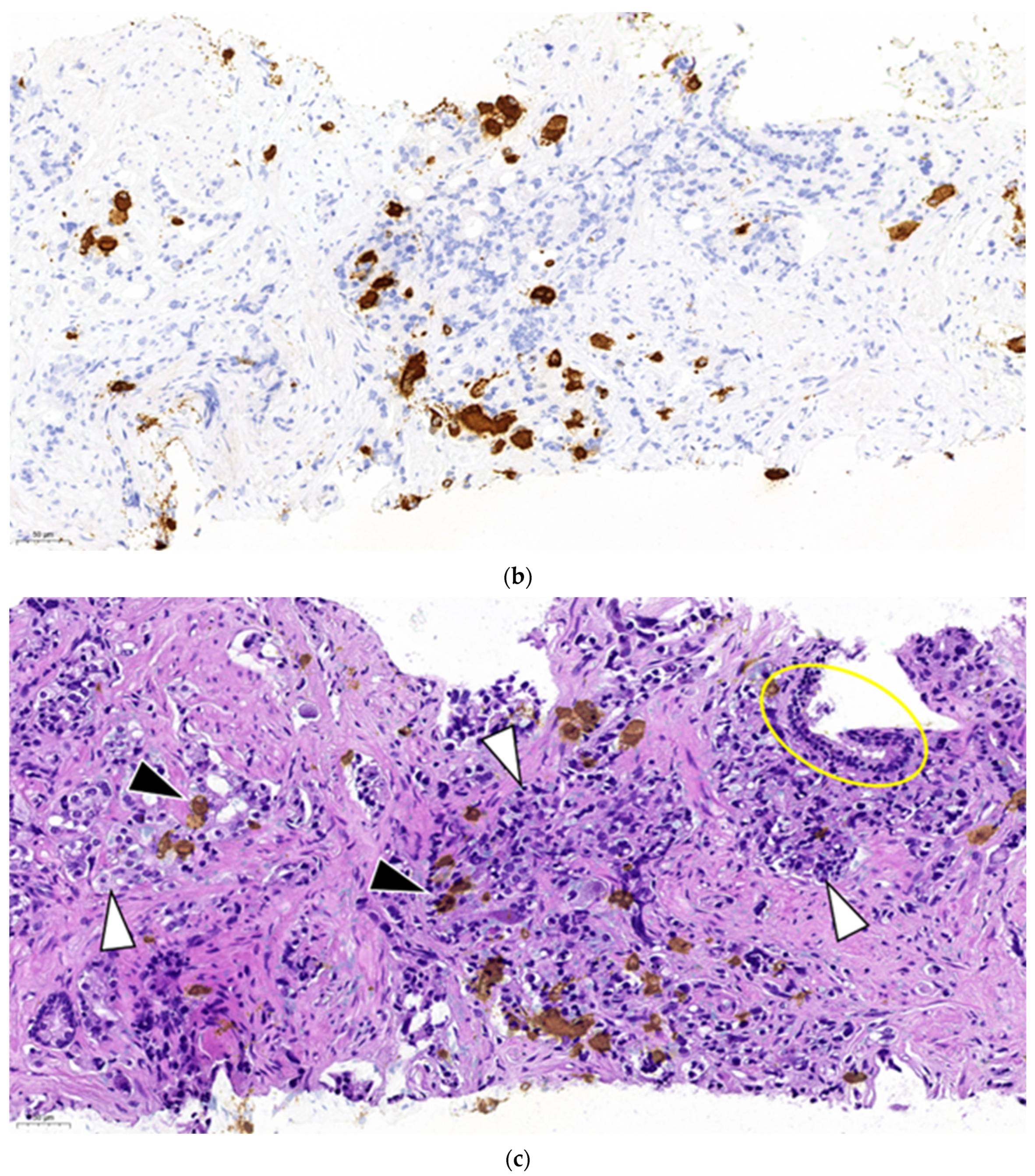 Preprints 84858 g002b
