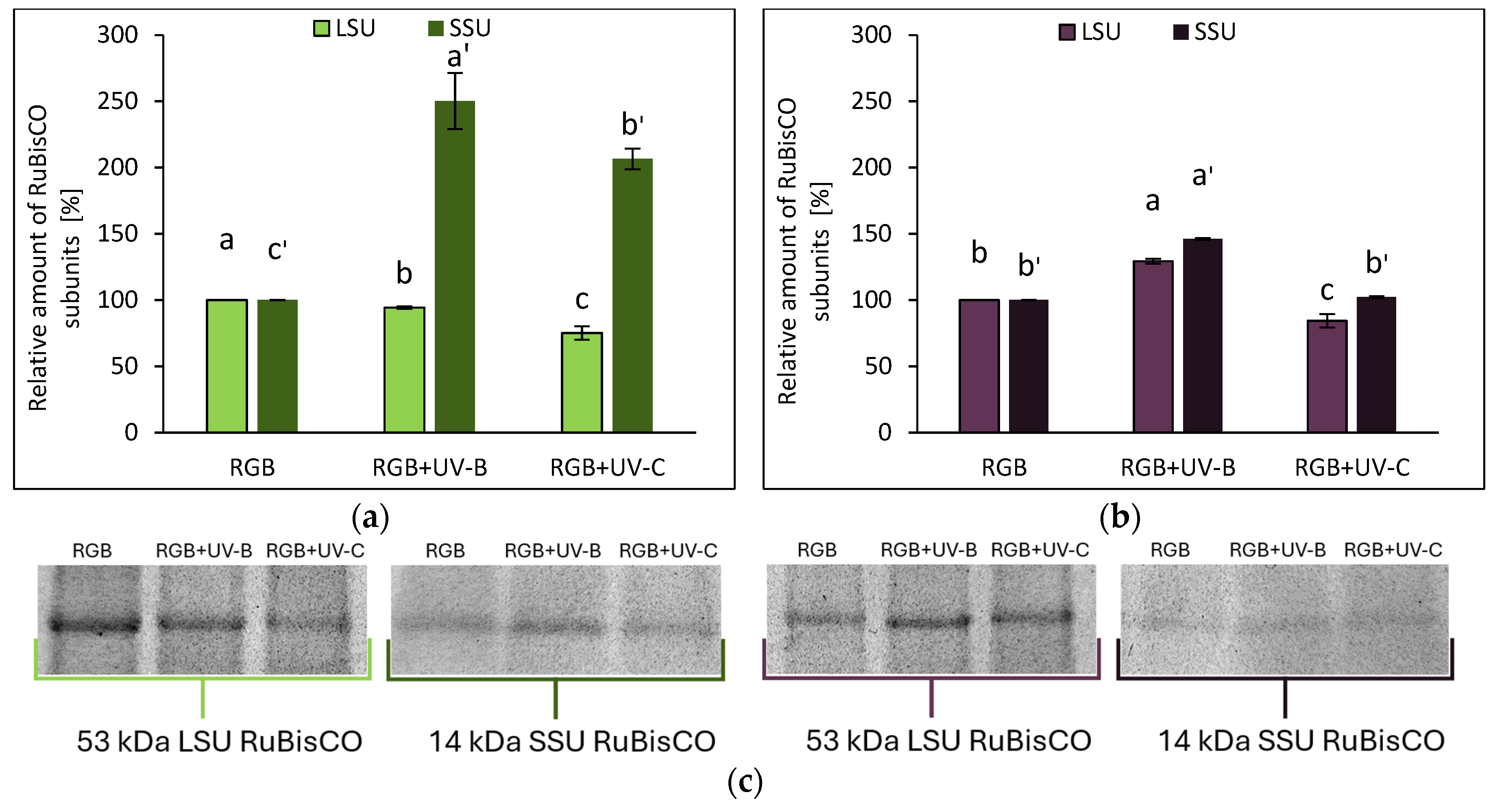 Preprints 138774 g007