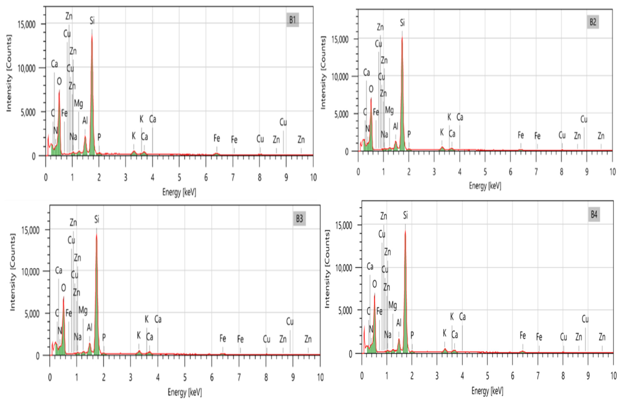 Preprints 230696 g007 Preprints 230696 g007