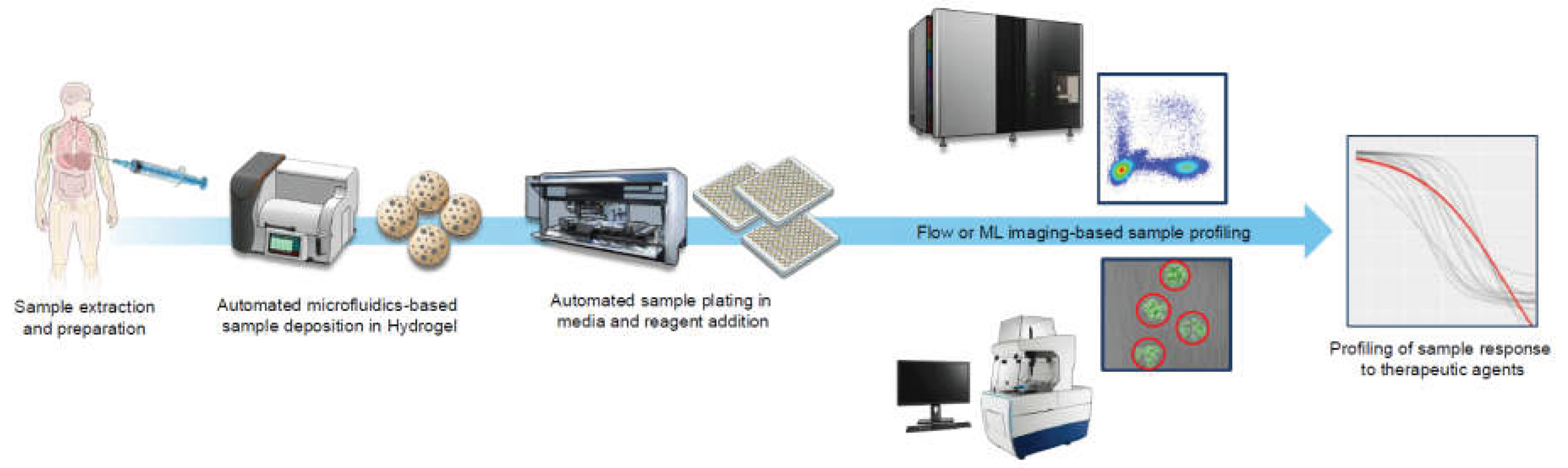 Preprints 195083 g001