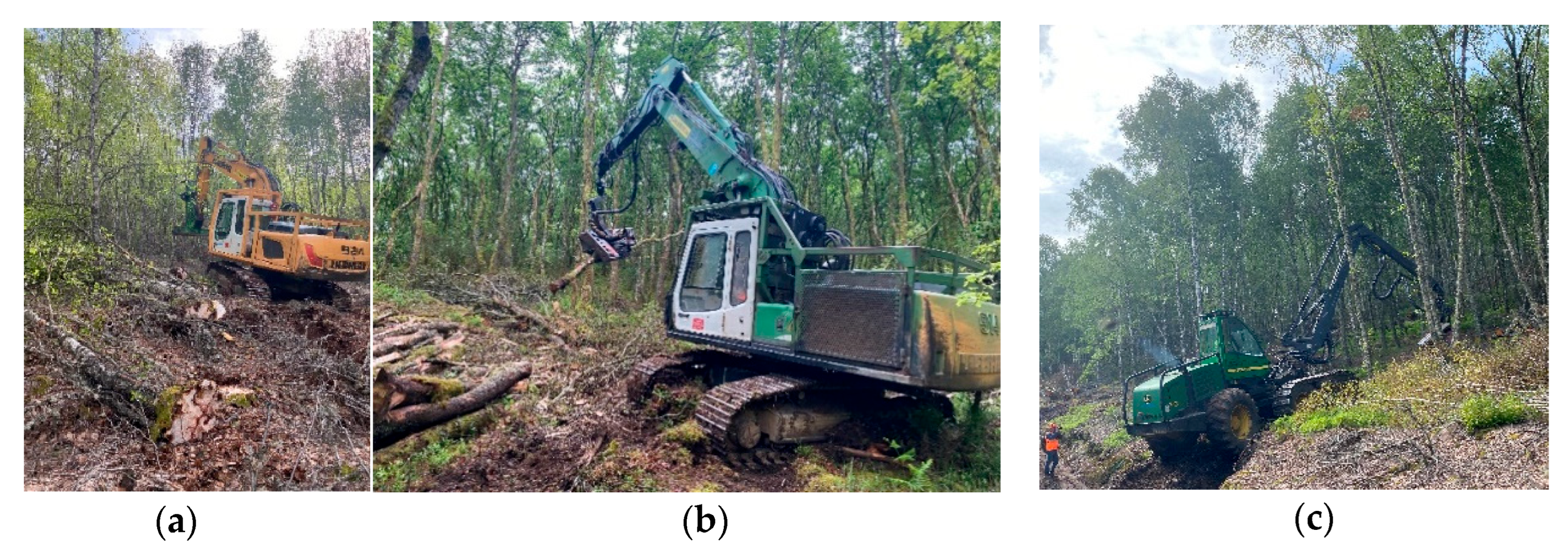 Preprints 183501 g001