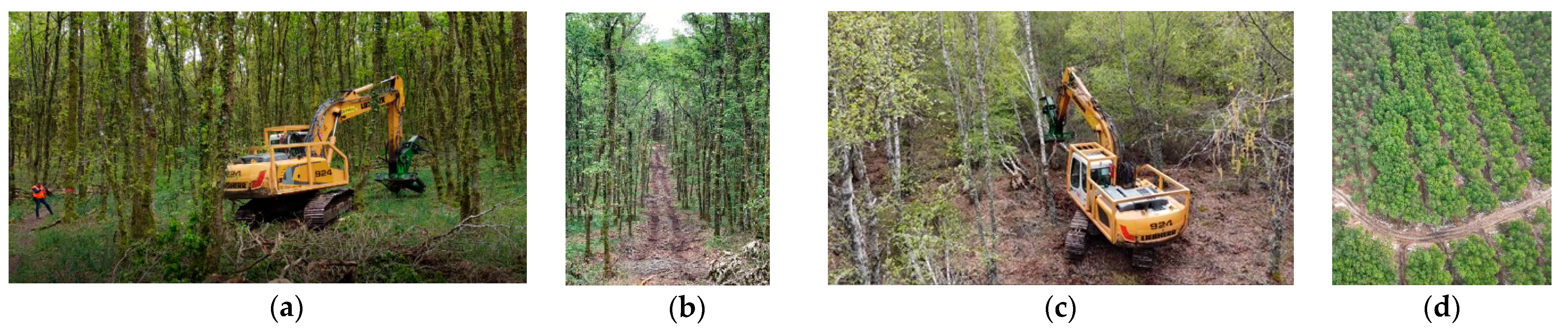 Preprints 183501 g002