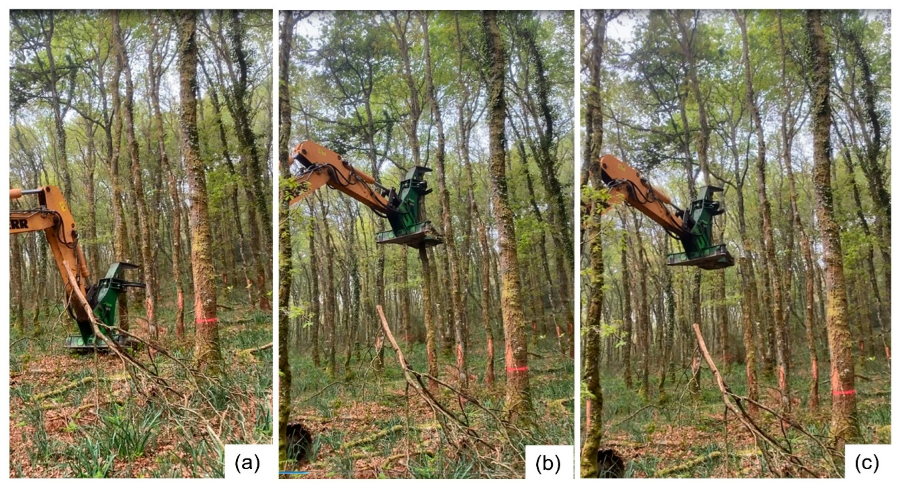 Preprints 183501 g003