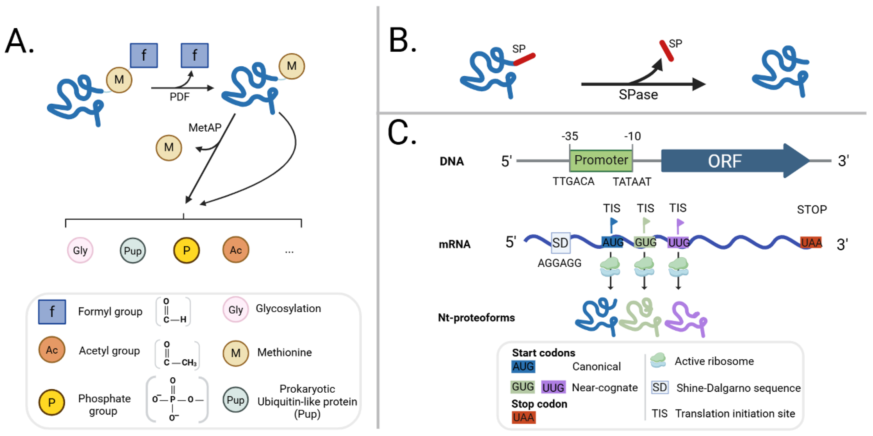 Preprints 217048 g001 Preprints 217048 g001