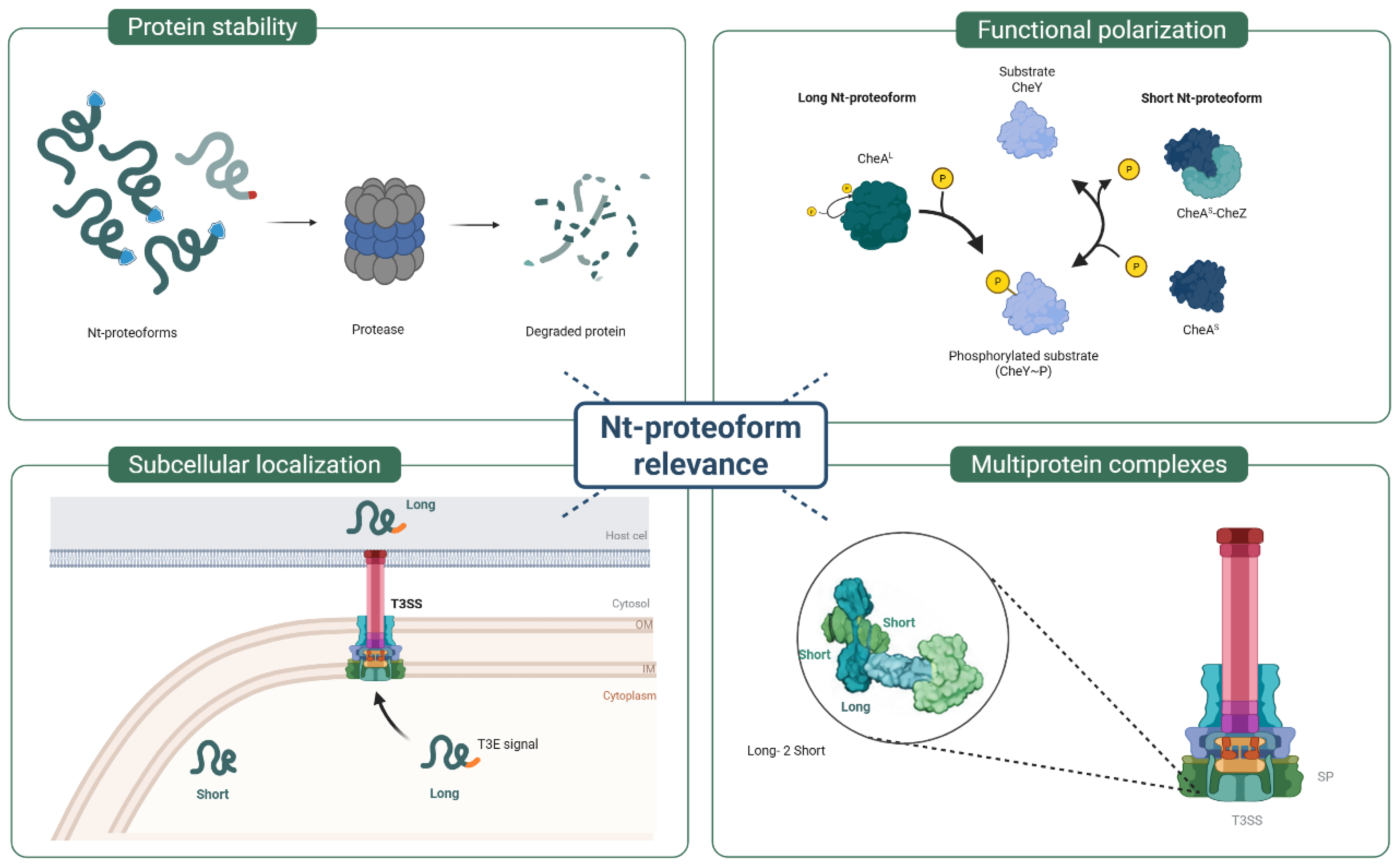 Preprints 217048 g002 Preprints 217048 g002
