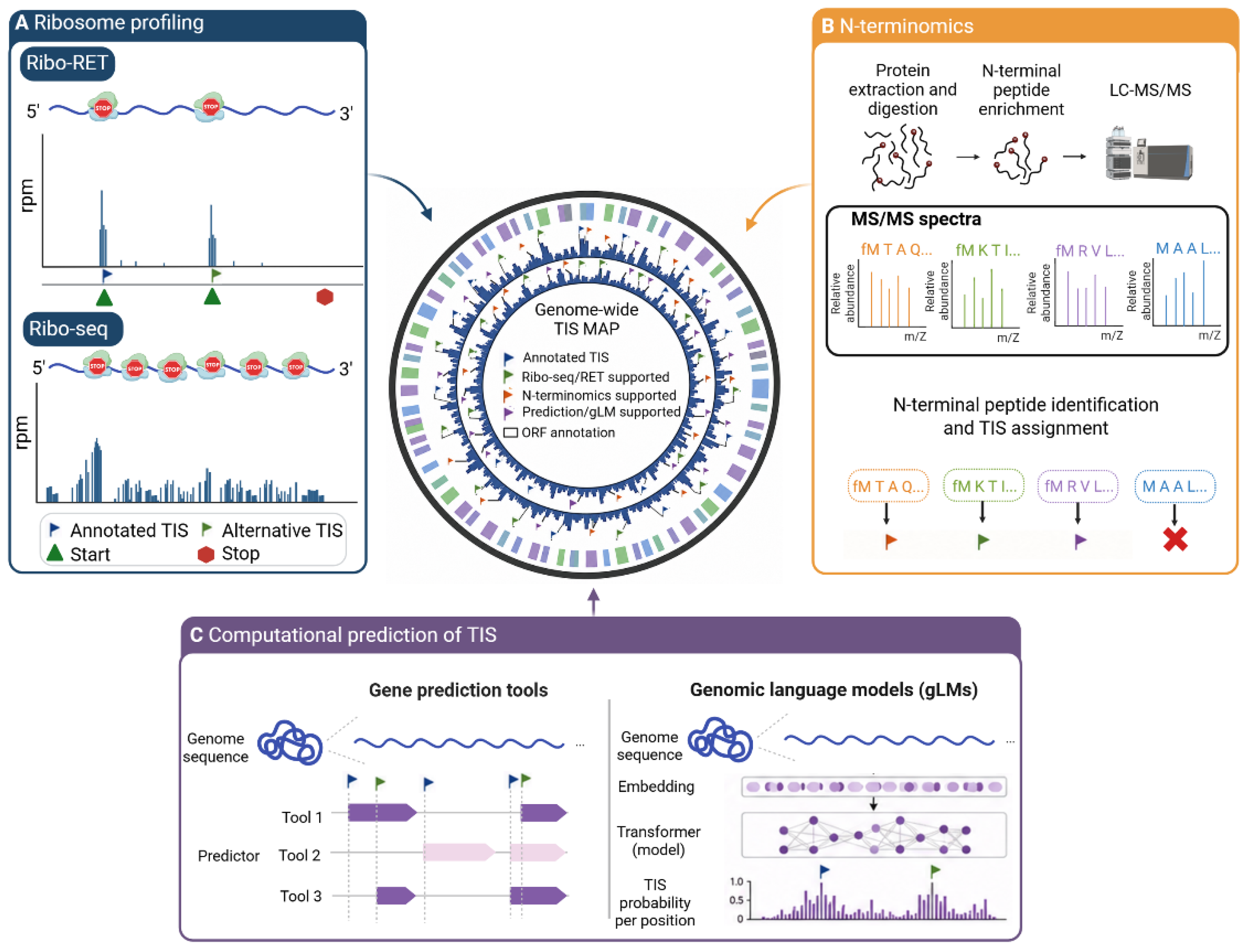 Preprints 217048 g003 Preprints 217048 g003