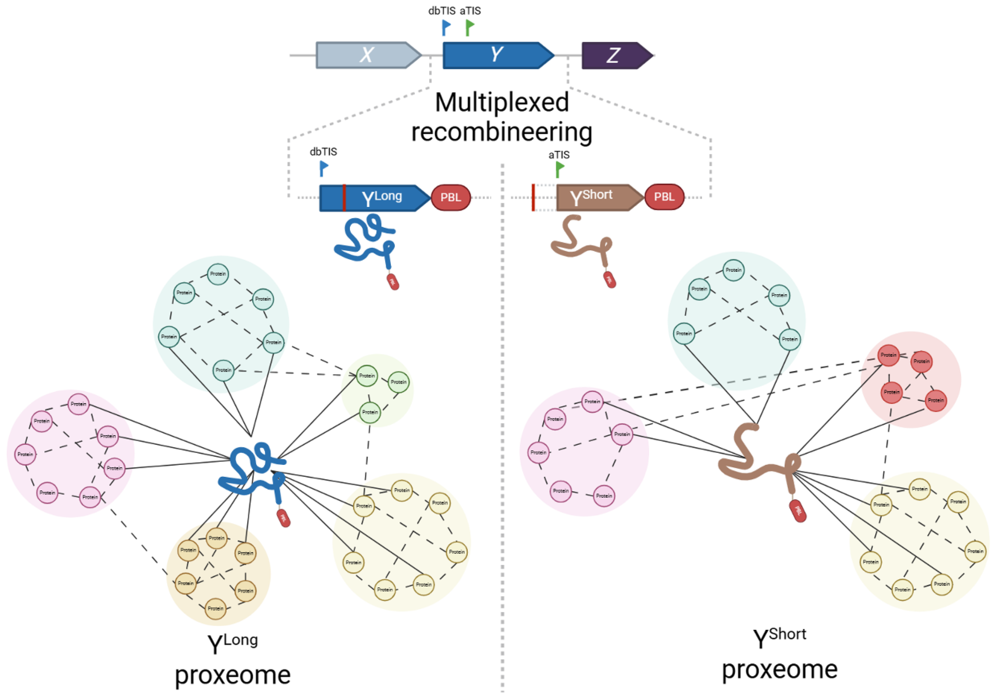 Preprints 217048 g004 Preprints 217048 g004