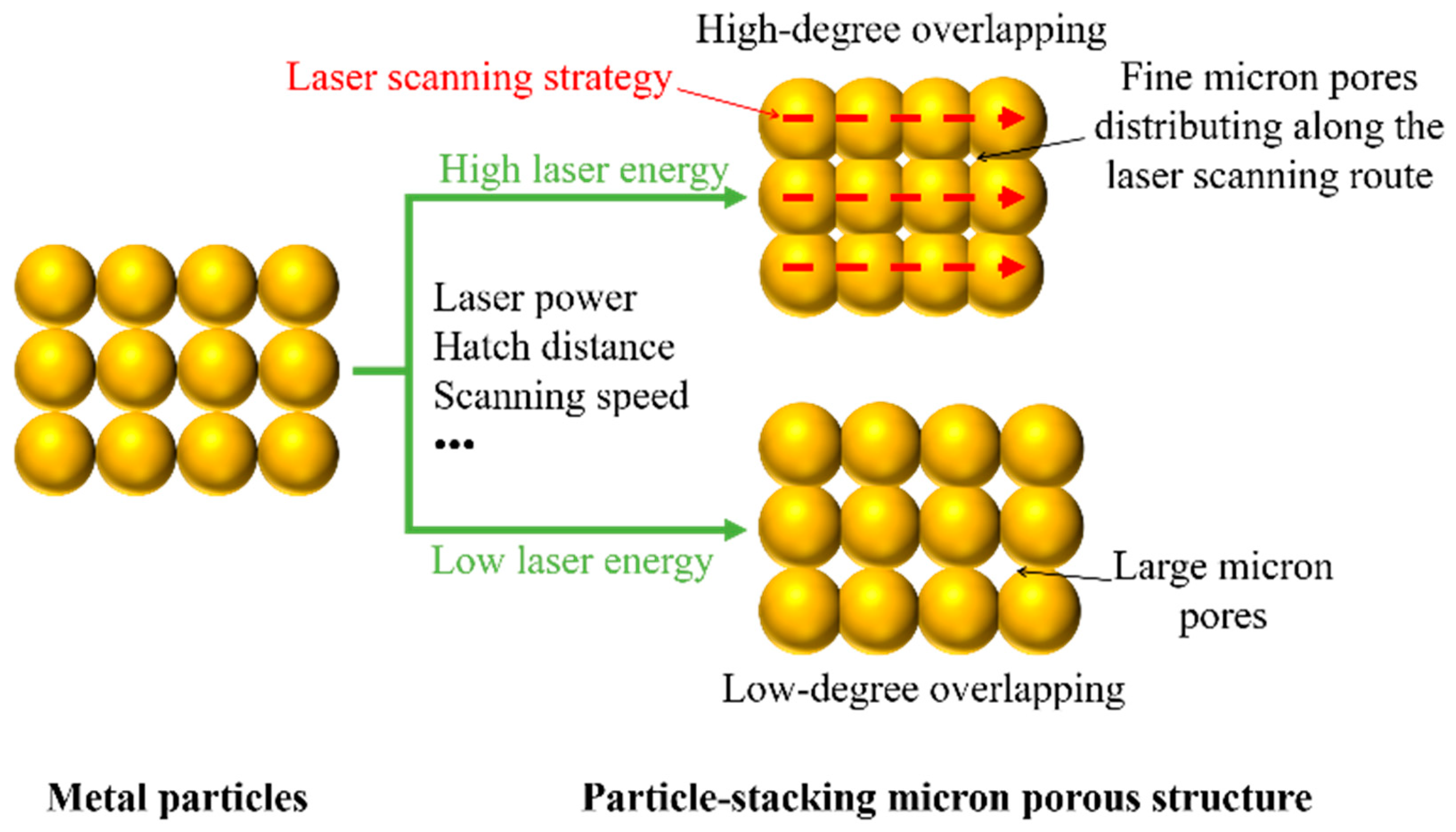 Preprints 98146 g002