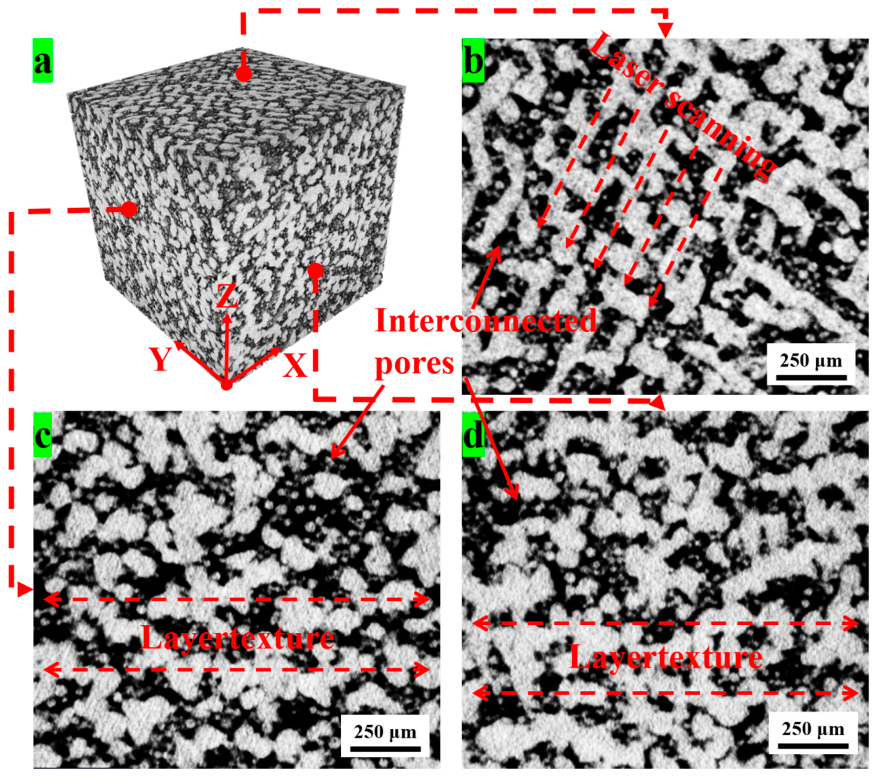 Preprints 98146 g012