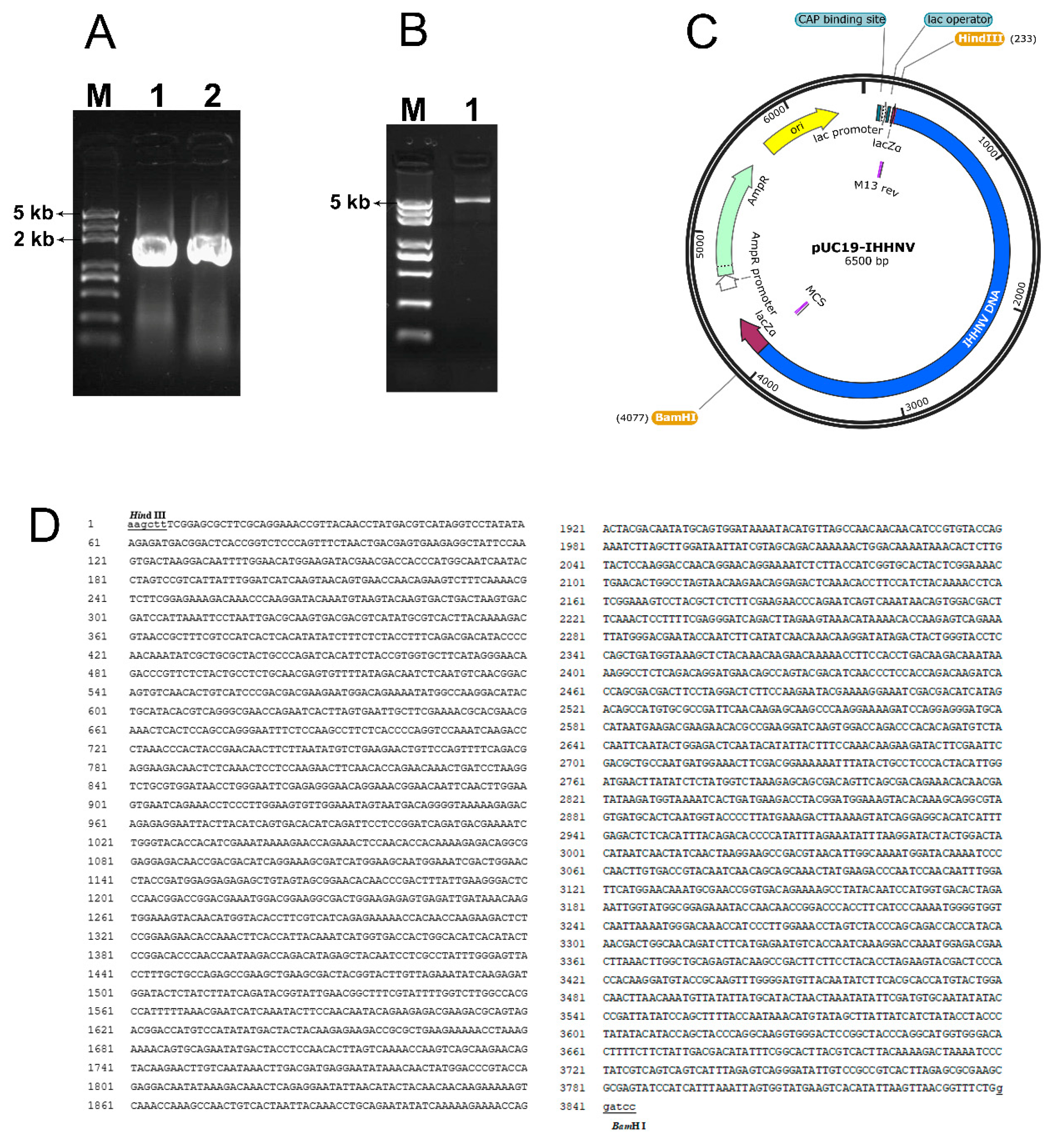 Preprints 110628 g001