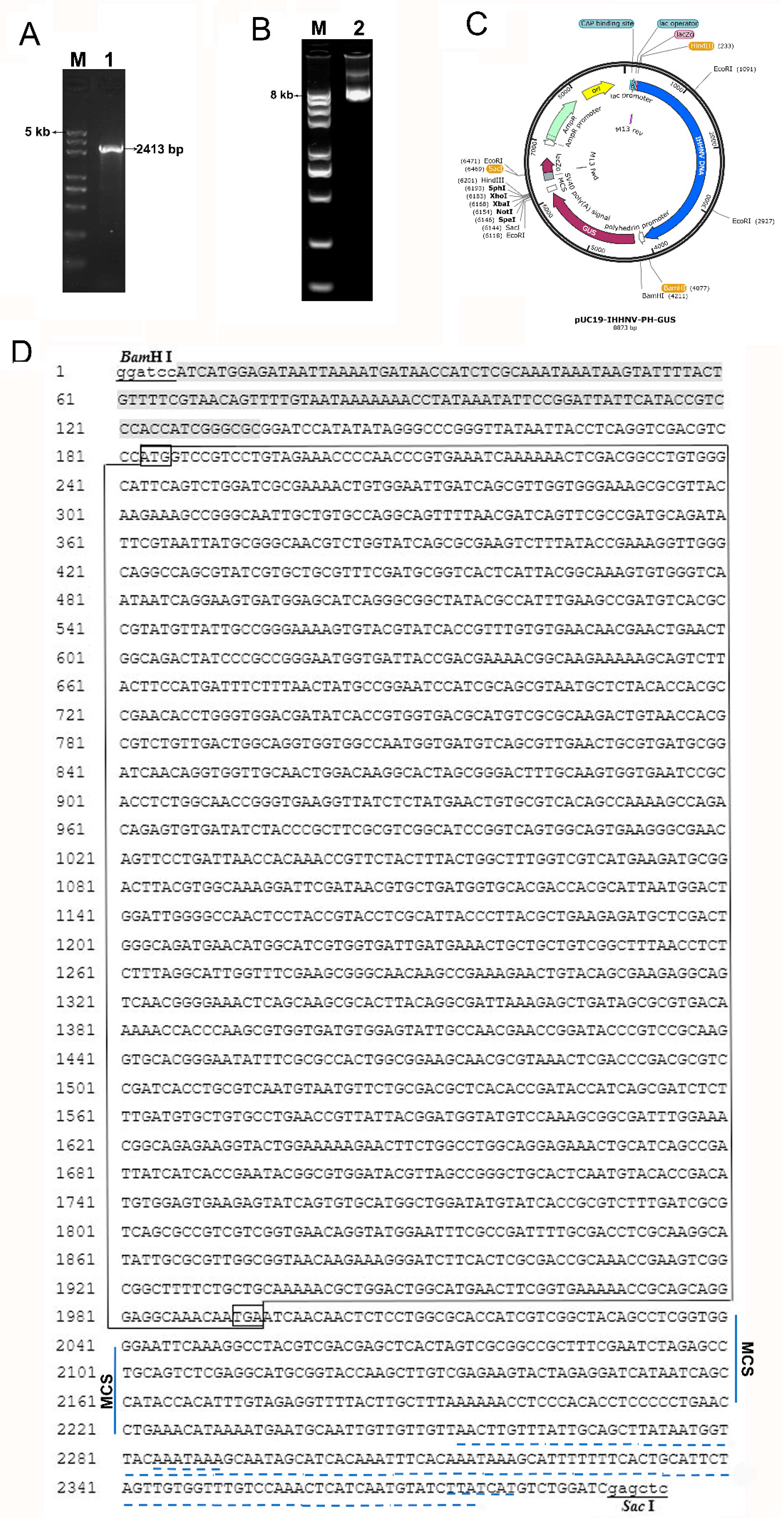 Preprints 110628 g002
