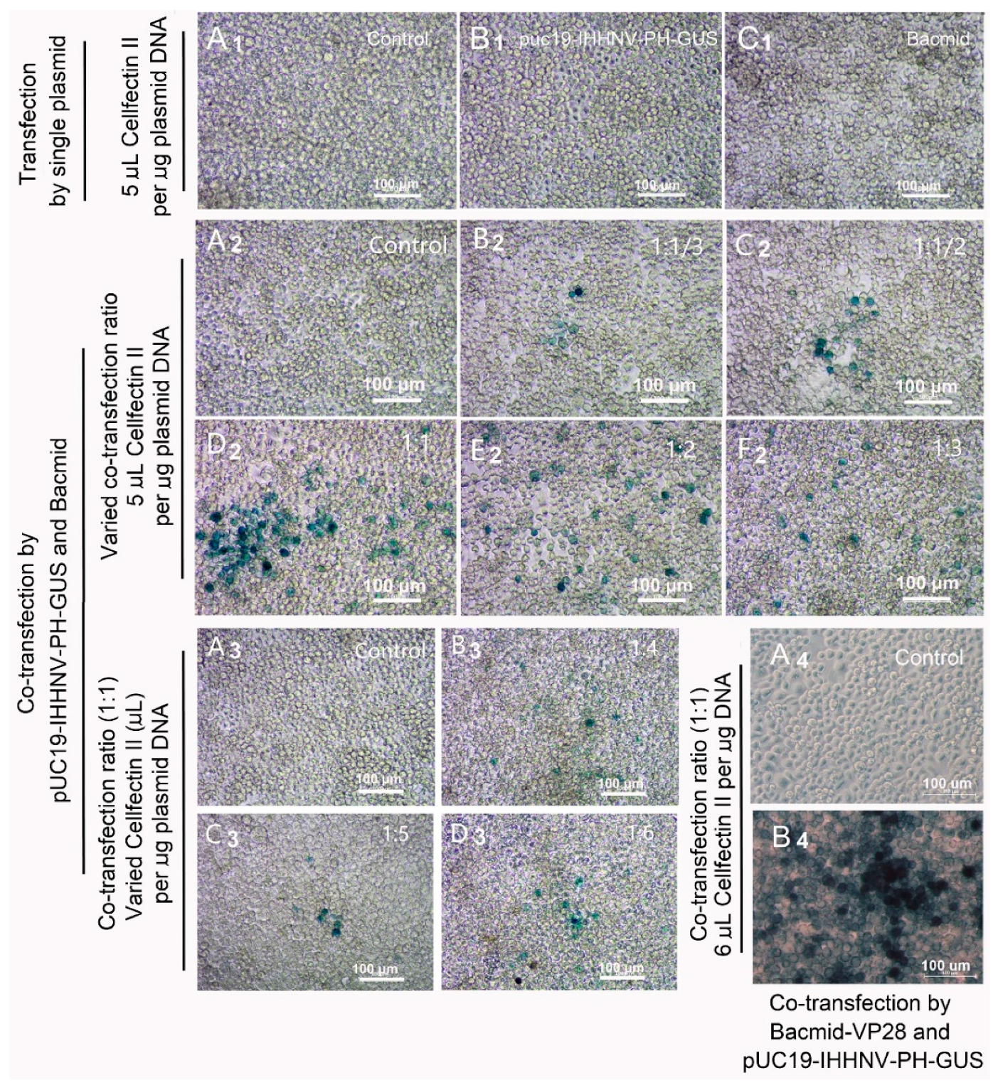 Preprints 110628 g003