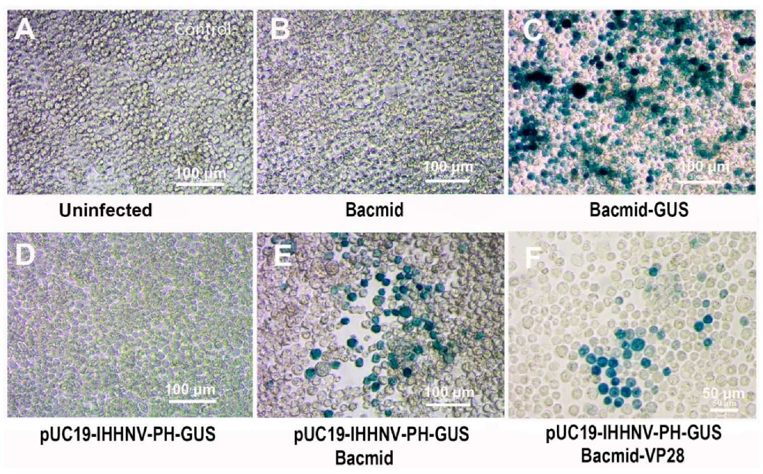 Preprints 110628 g004