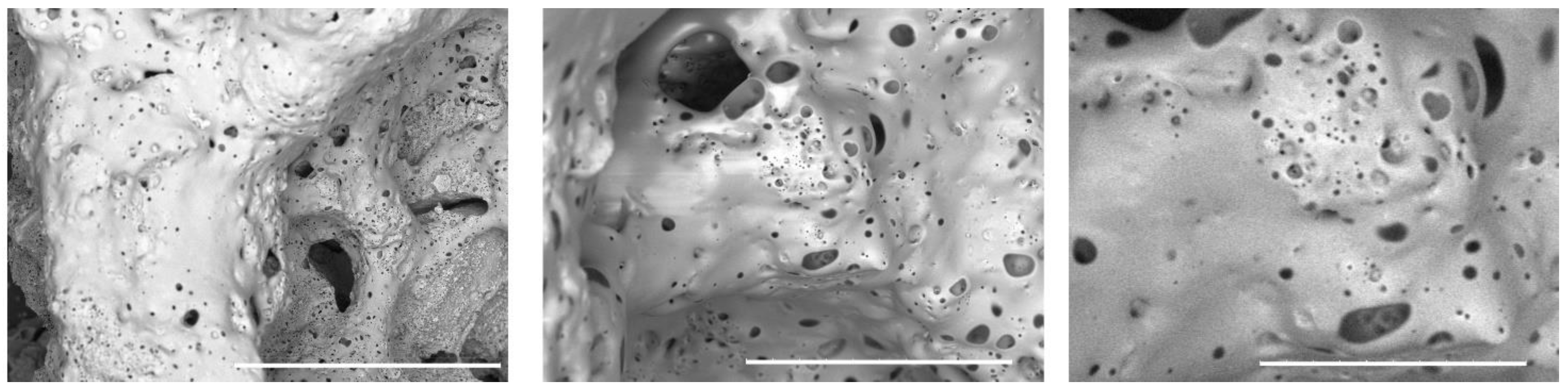 Preprints 89128 g003