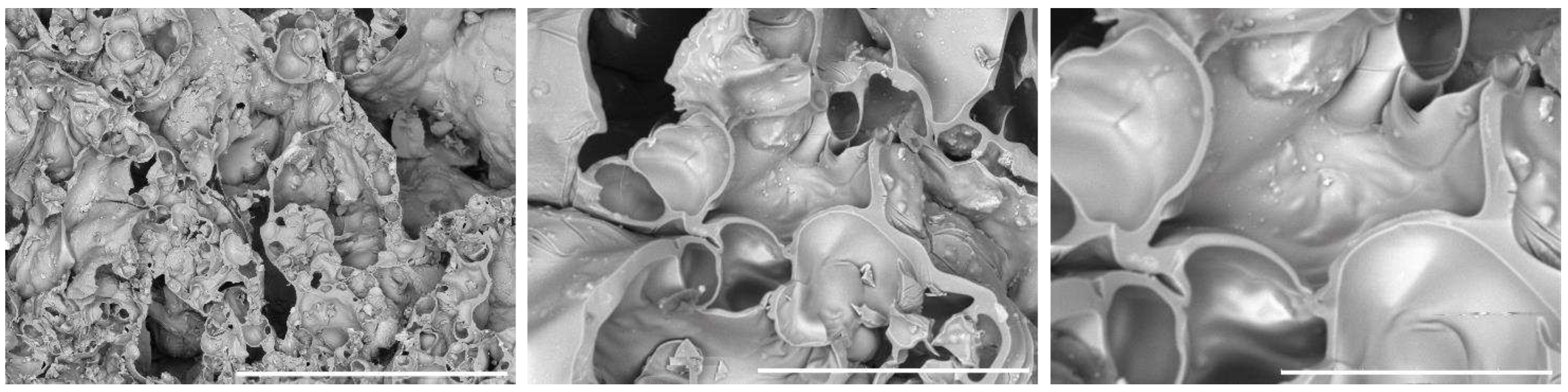 Preprints 89128 g004