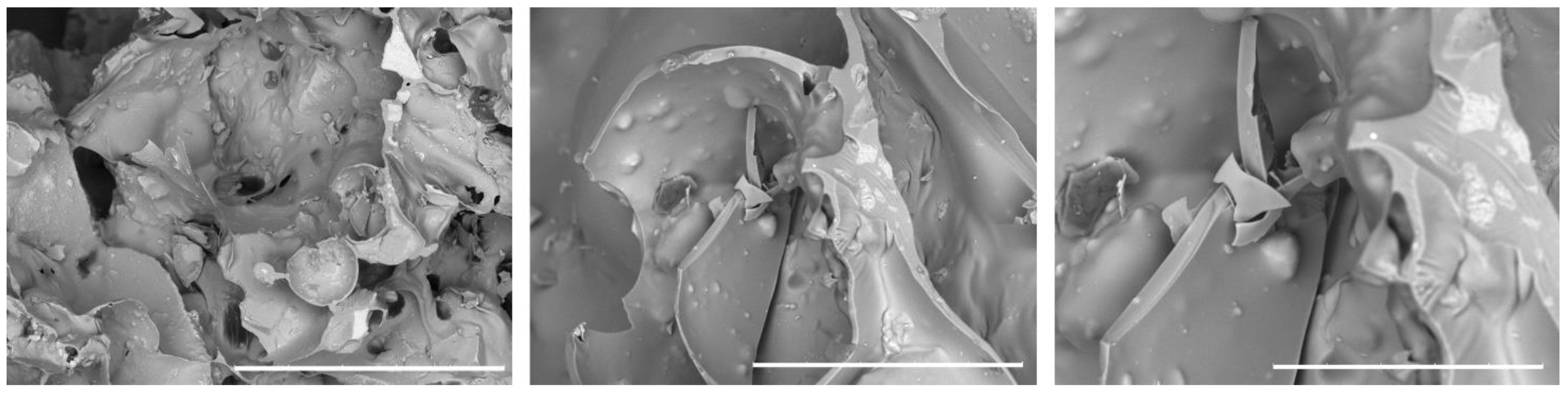 Preprints 89128 g005